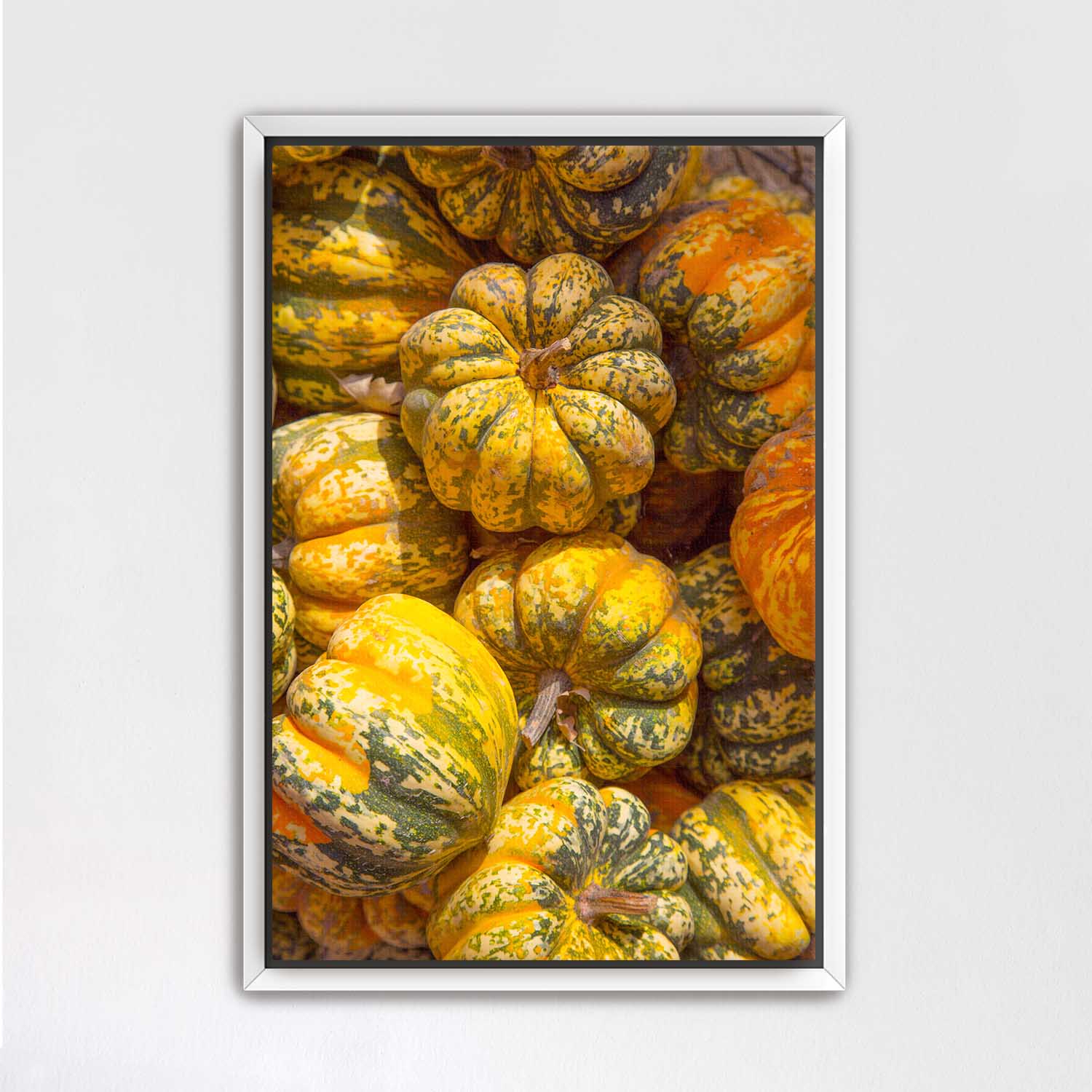 White framed print of colorful pumpkins on a white wall