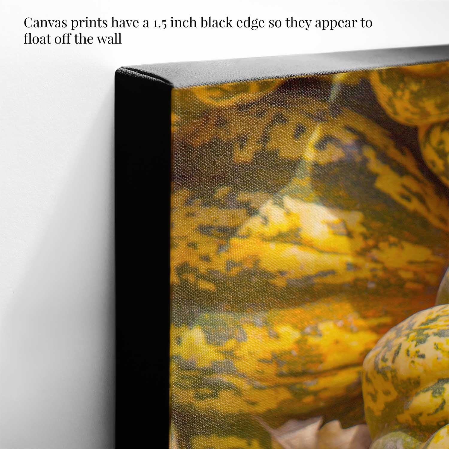 Canvas print with a black edge showing a close-up of pumpkins.