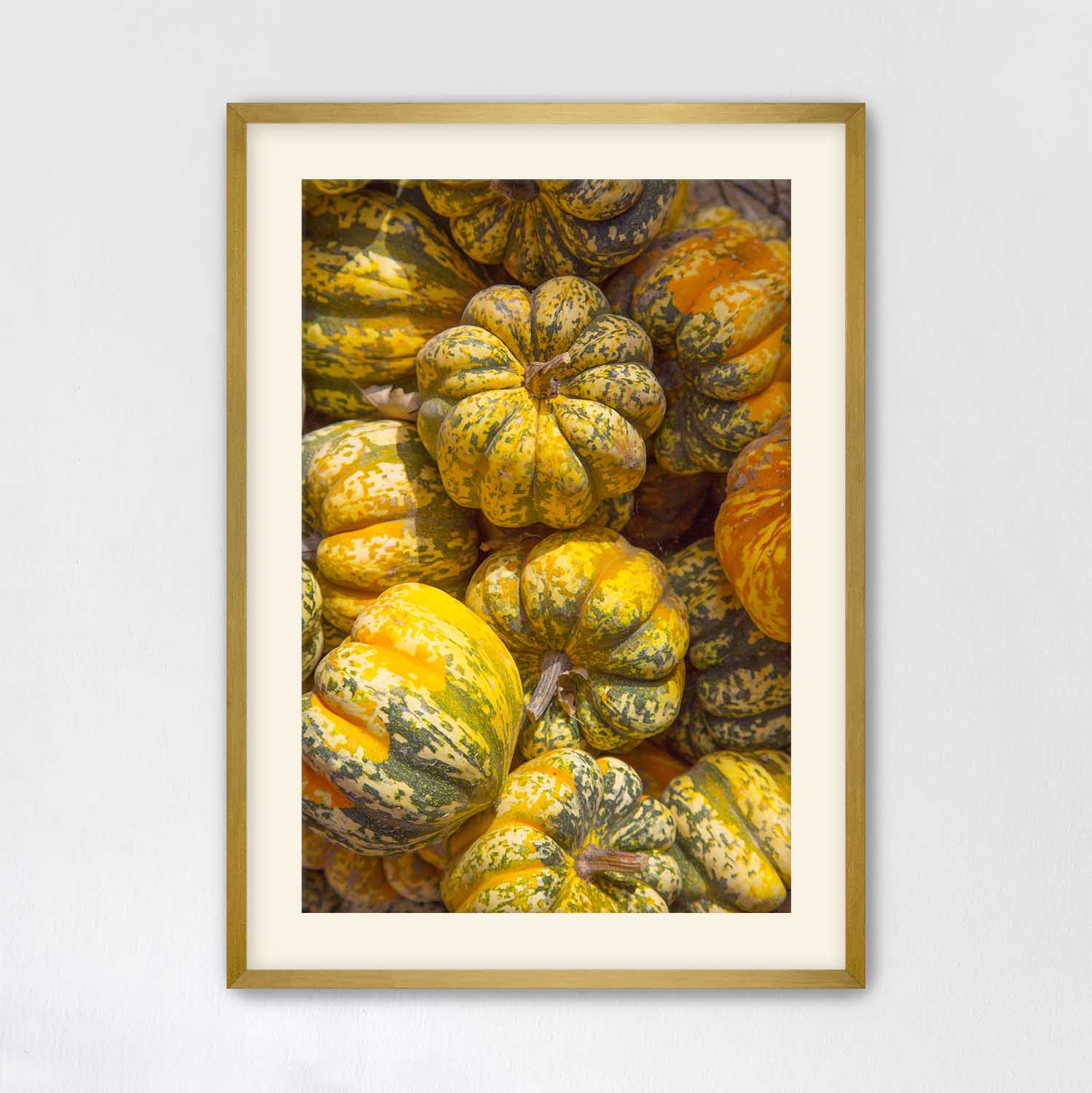 Gold Framed photograph of yellow and green pumpkins on a white wall.
