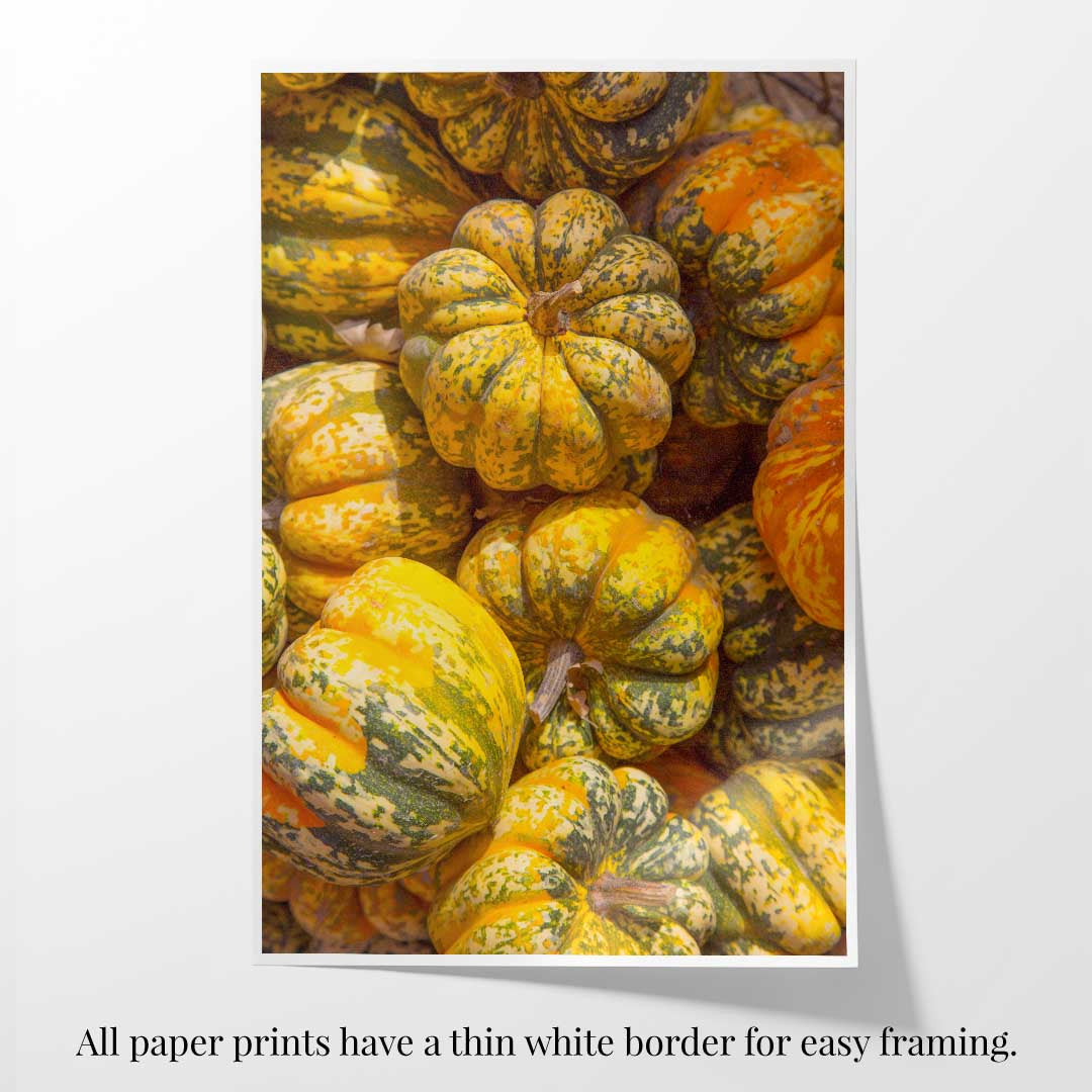 Paper print with a thin white border of a close-up of colorful pumpkins .