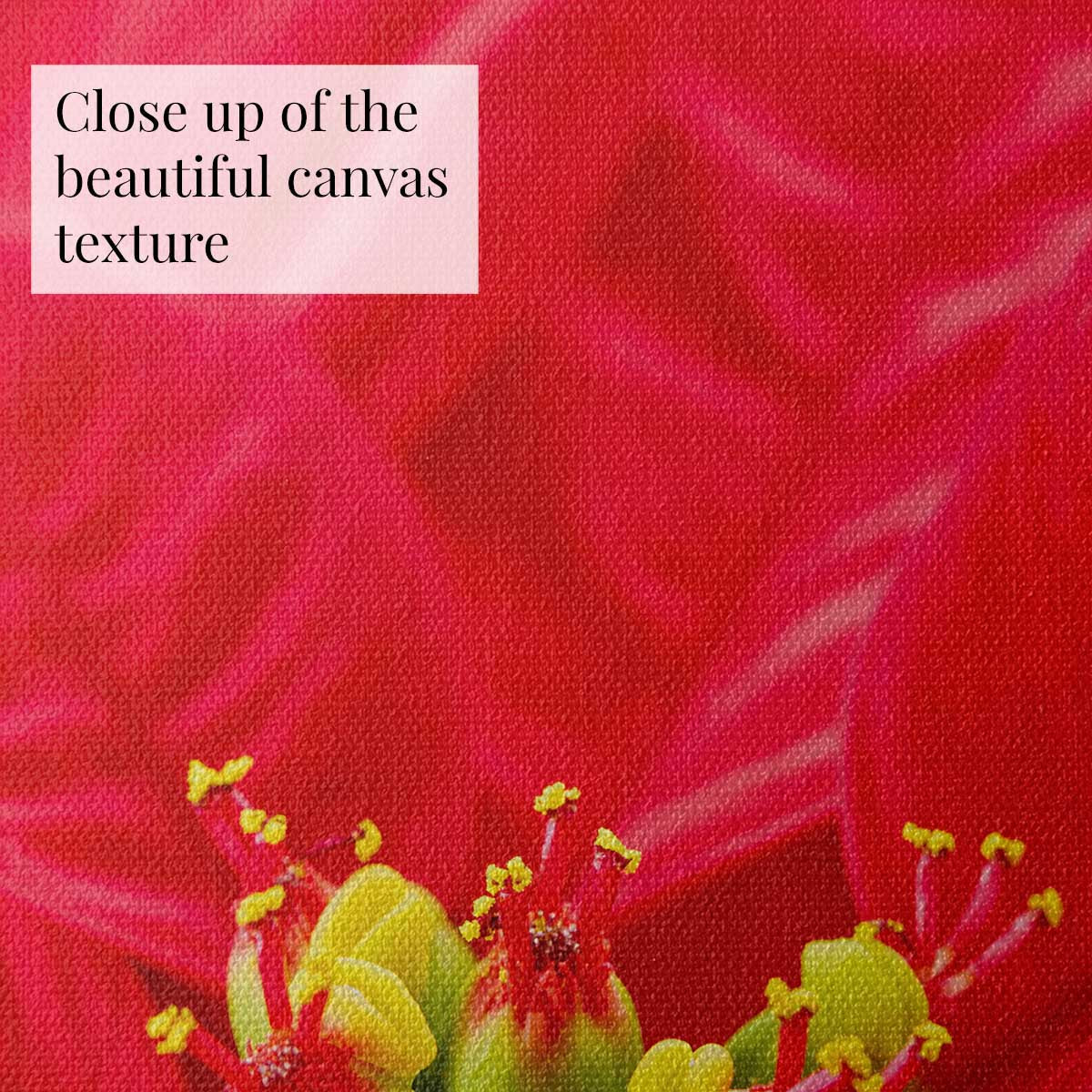 Poinsettia wall art canvas in vivid red with close-up floral composition and visible woven texture.