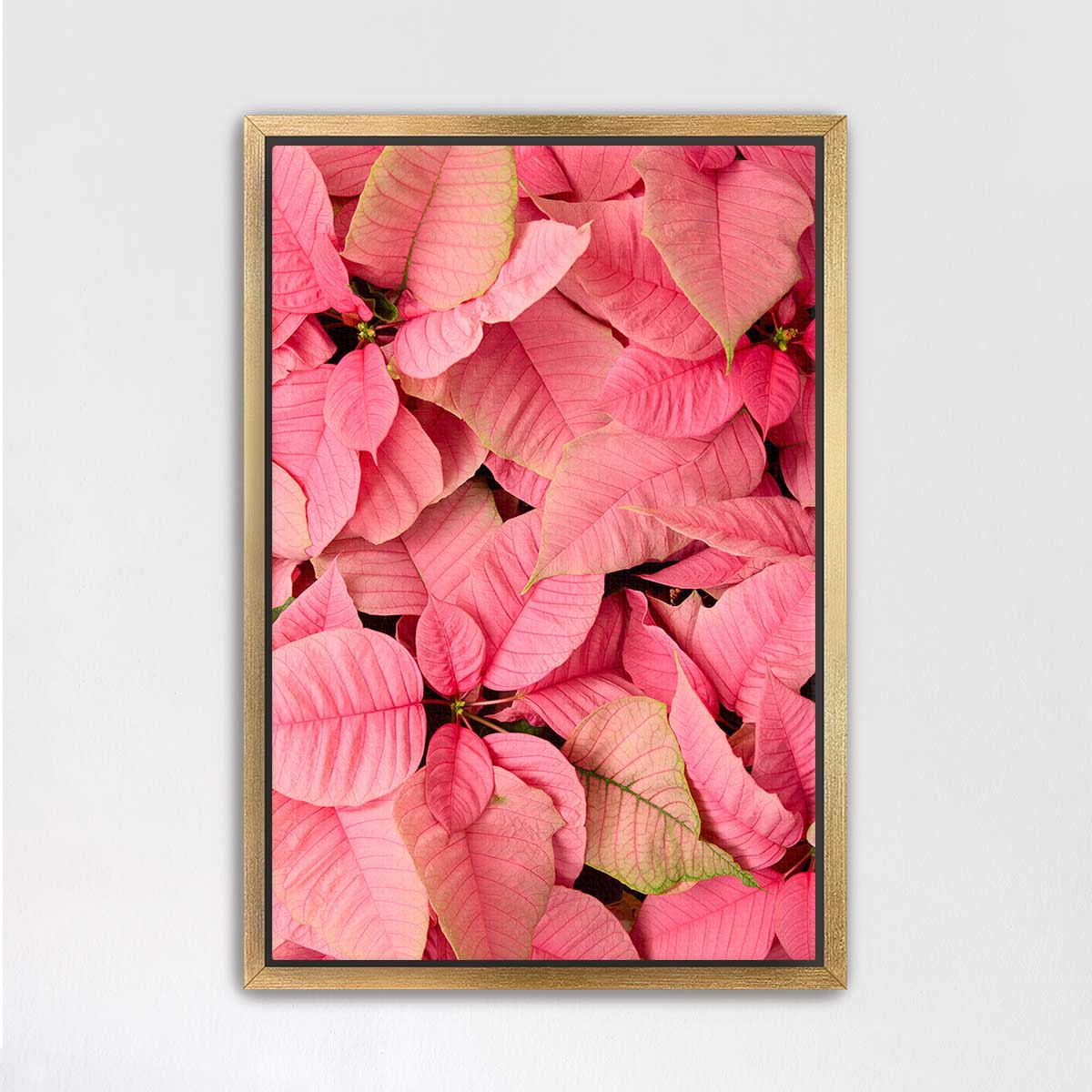 Poinsettia wall art canvas in a gold frame, featuring dense pink petals in a vertical floral composition.
