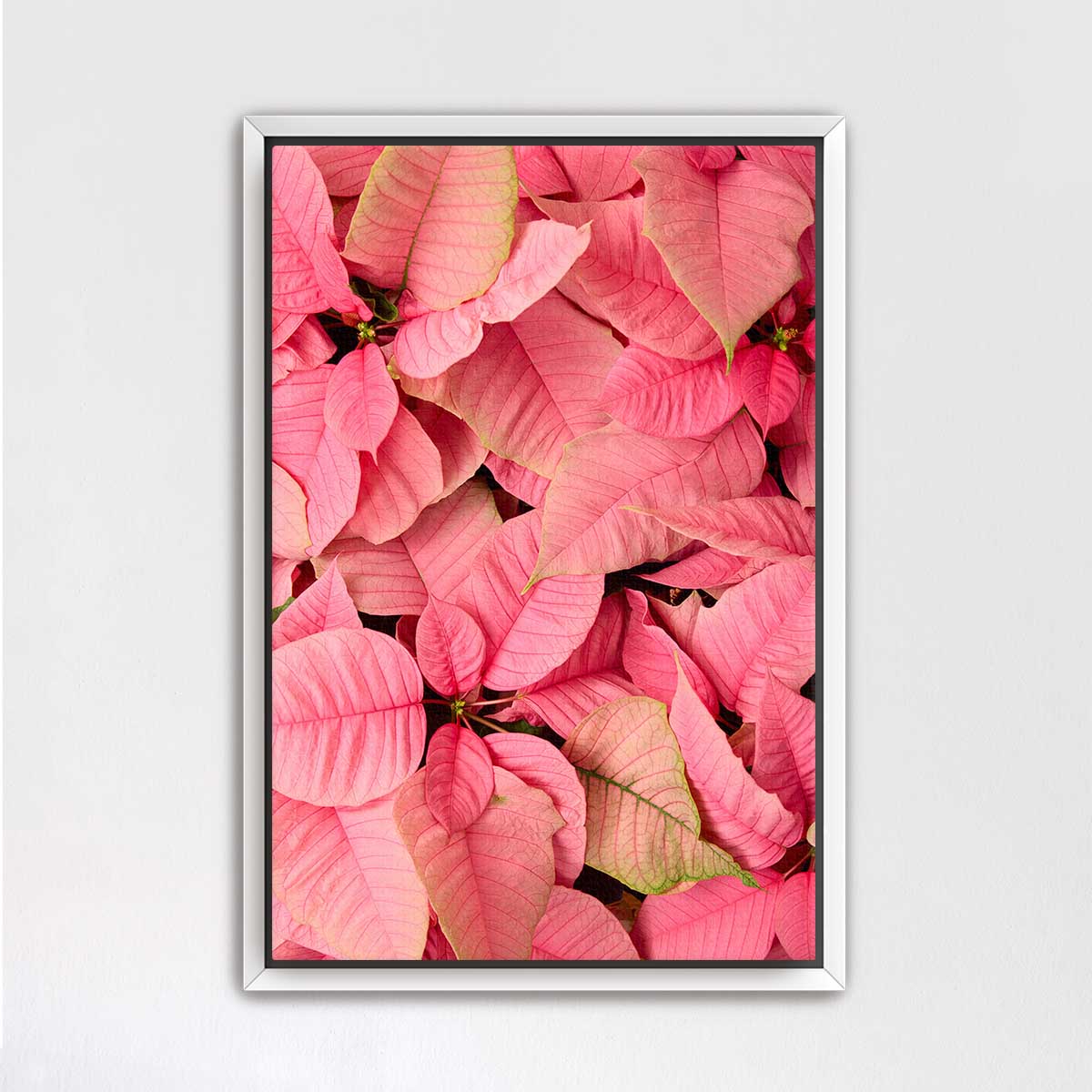 Poinsettia wall art canvas in pink with dense overhead floral composition and a slim silver frame for Christmas decorating.