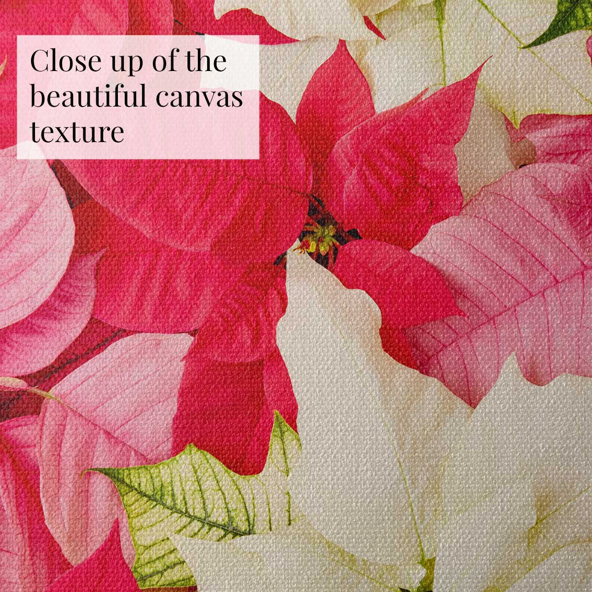 Poinsettia floral wall art canvas showing pink, red, and white petals in a close up view for vertical holiday decor.