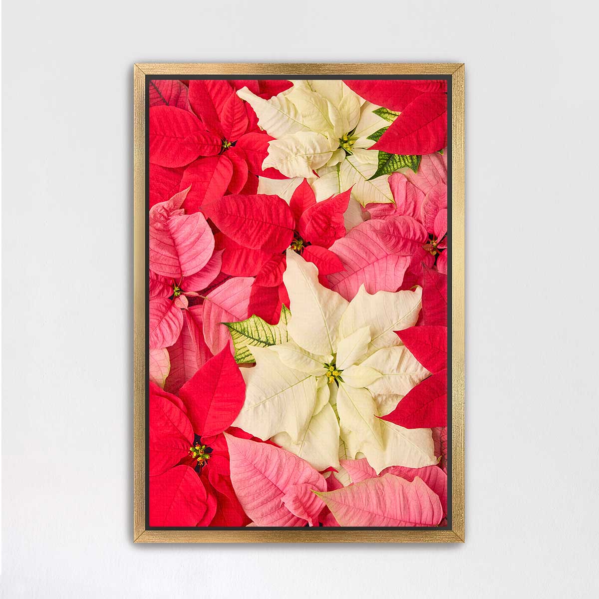 Poinsettia wall art canvas with a gold frame, vertical floral composition featuring red and cream flowers for holiday decor.