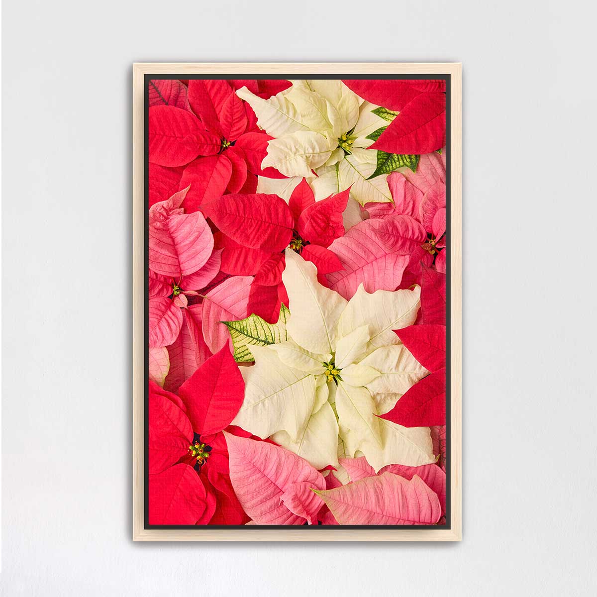 Poinsettia floral wall art canvas shows layered red and cream blooms in a vertical composition with a maple frame.