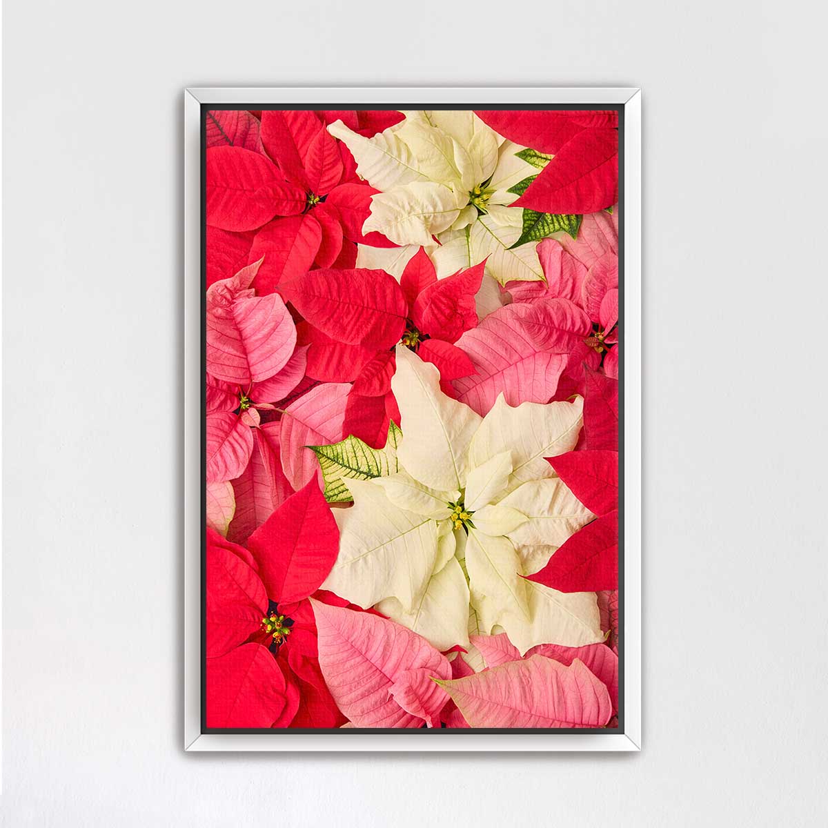 Poinsettia floral wall art canvas with vivid red and white blooms in a vertical composition for holiday decor.