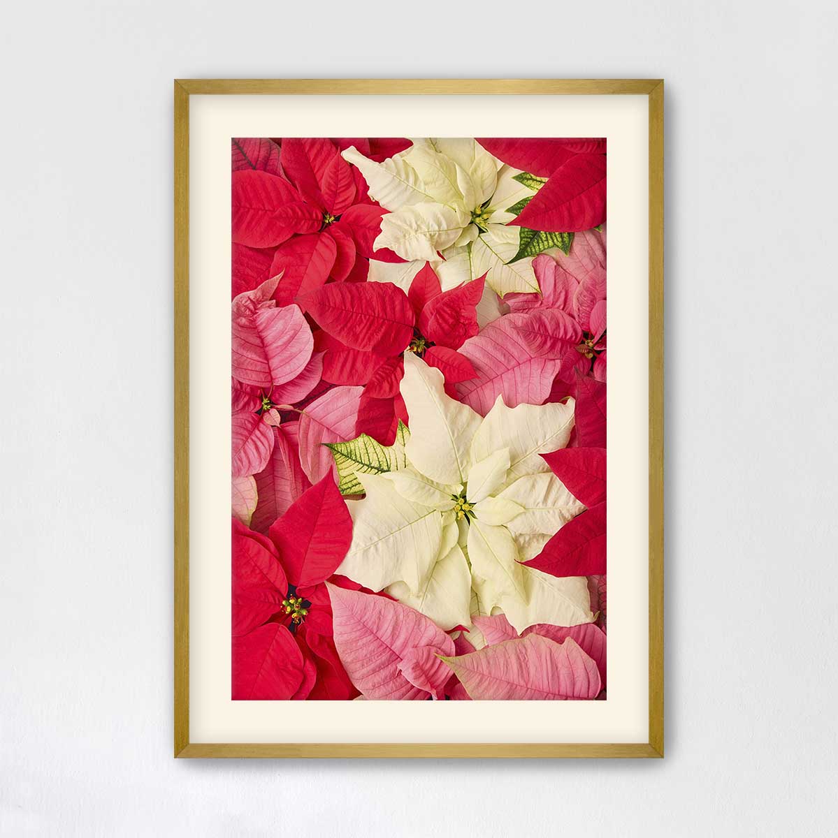 Poinsettia wall art canvas in red and cream with an overhead floral composition in a gold frame.