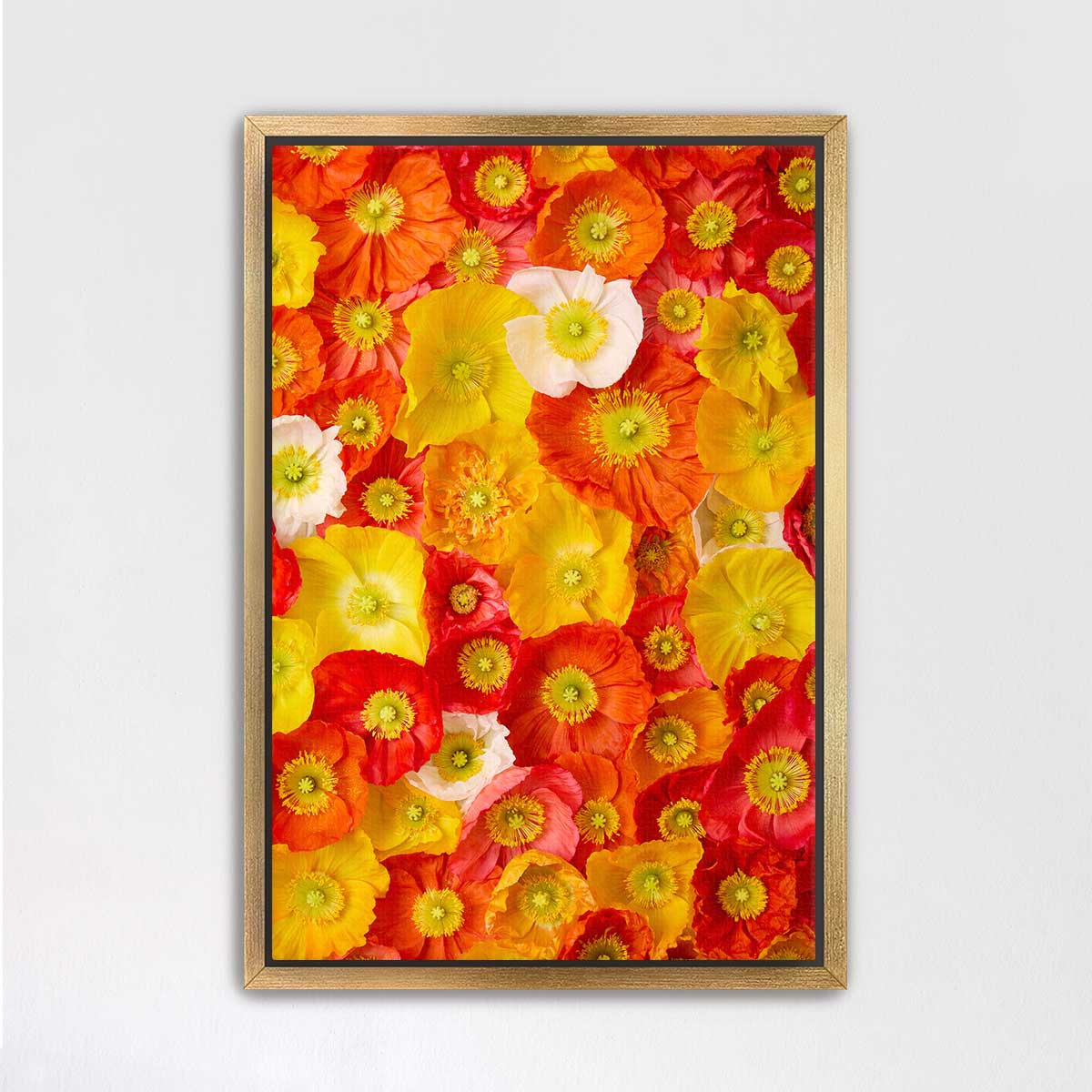 The image is a vibrant collage of various colorful flowers, including red, yellow, and orange blooms, arranged in a visually striking manner.