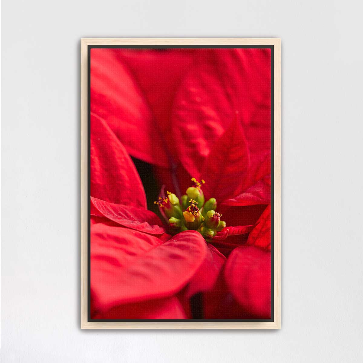 Poinsettia Glow floral wall art print in red with close-up flower imagery and a framed presentation.