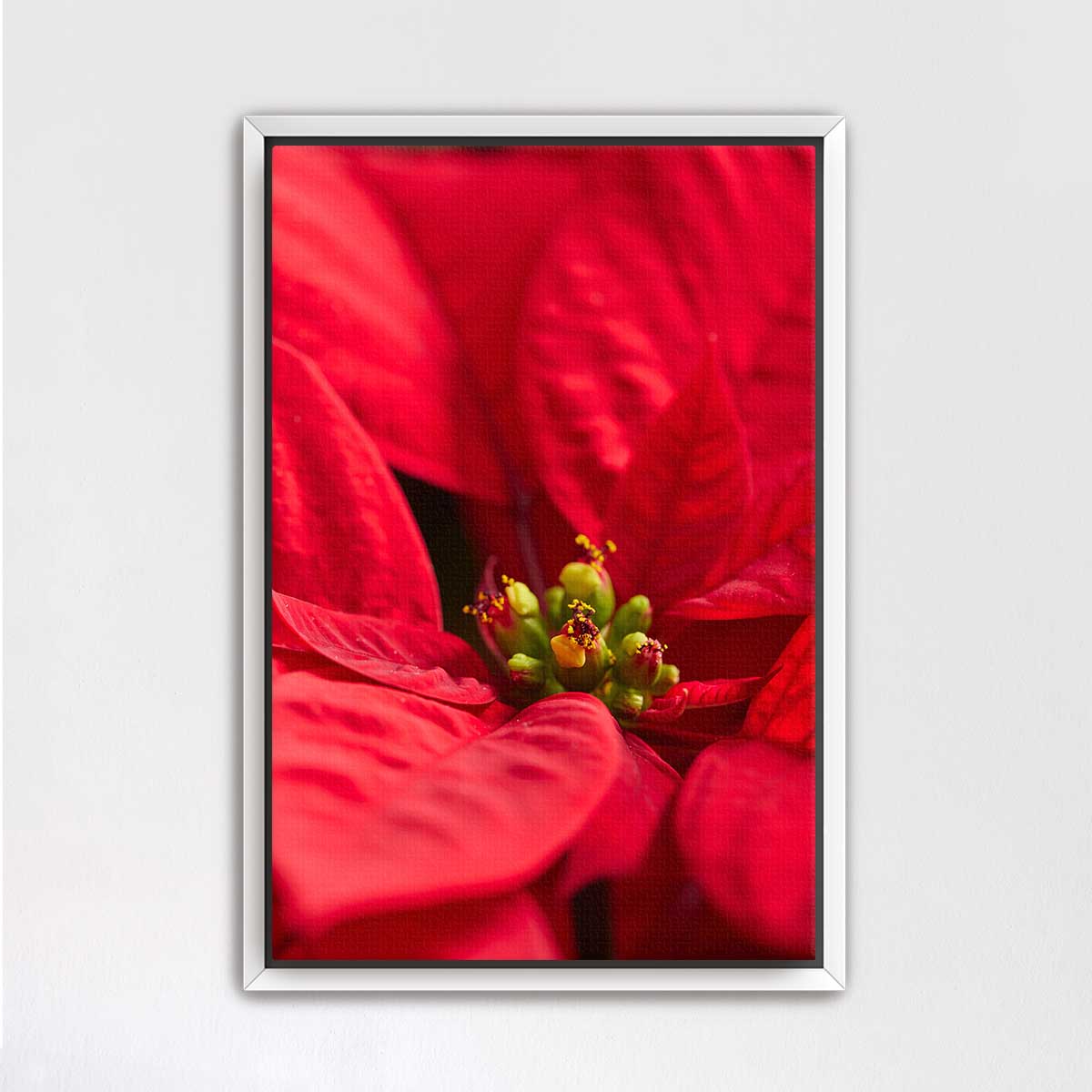 Poinsettia Glow floral wall art in red with close-up floral imagery for vertical interior display.