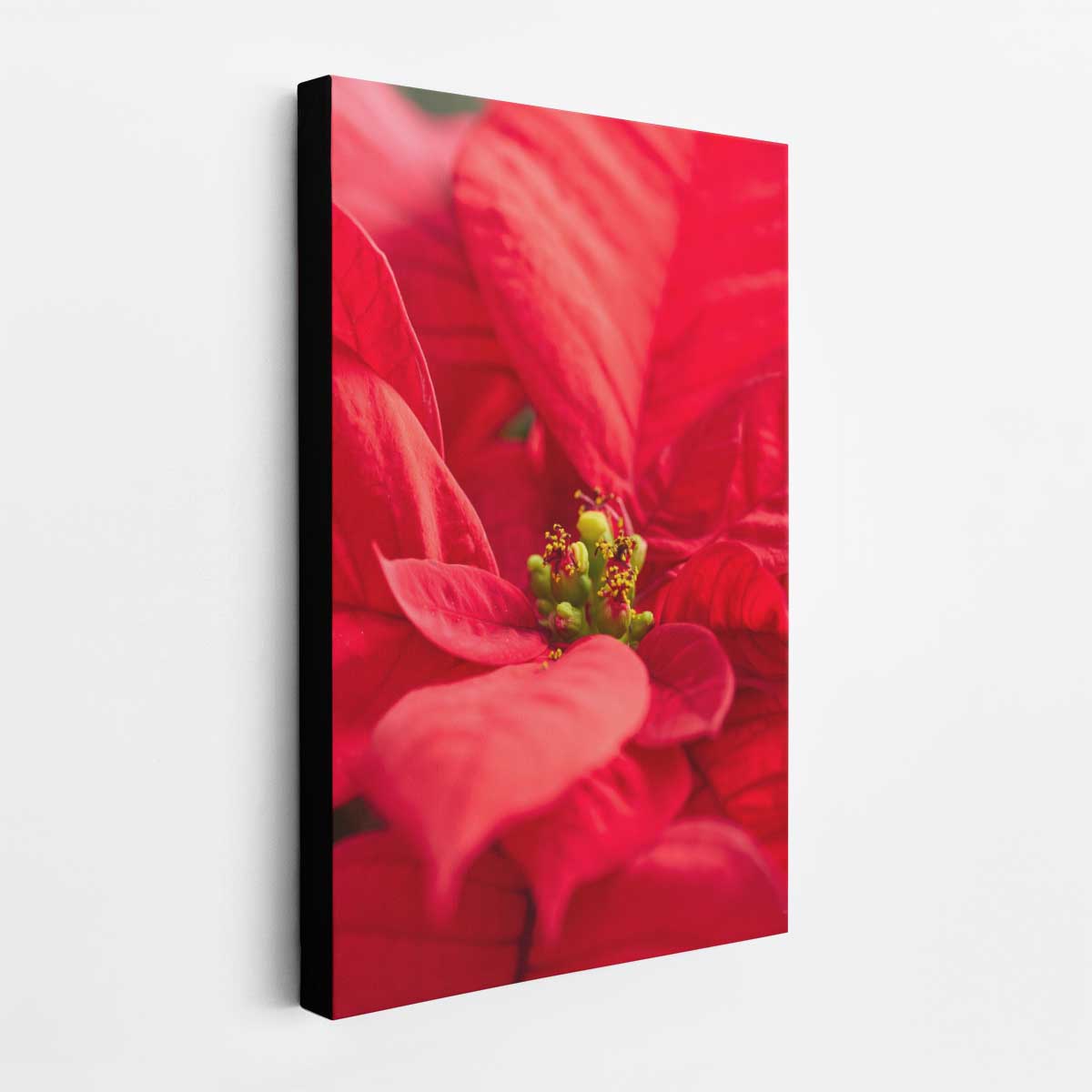 Brilliant in red floral wall art with a close-up poinsettia composition in a vertical format for indoor display.