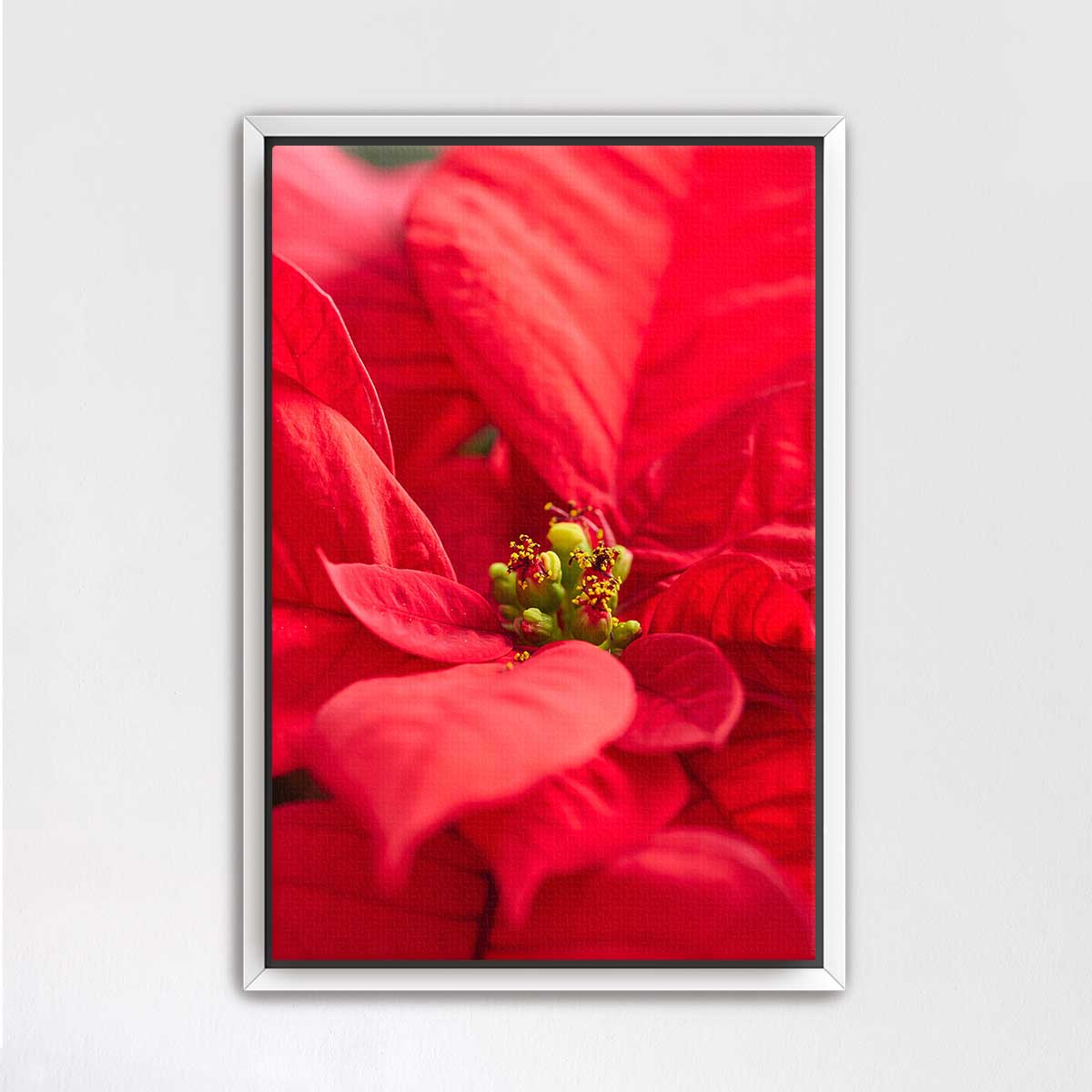 Brilliant in red floral wall art shows a close-up poinsettia composition in a slim silver frame for indoor display.