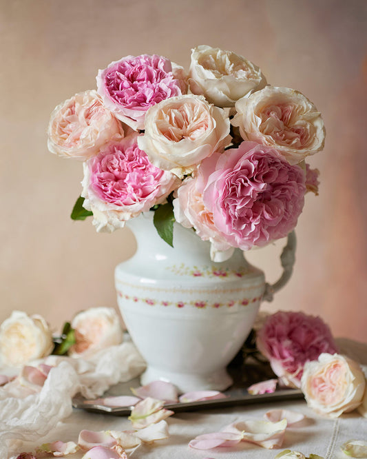 The Romance in Bloom vase features a bouquet of large, ruffled David Austin roses in soft pink and cream hues. Petals scattered on the white cloth below add serenity and elegance.