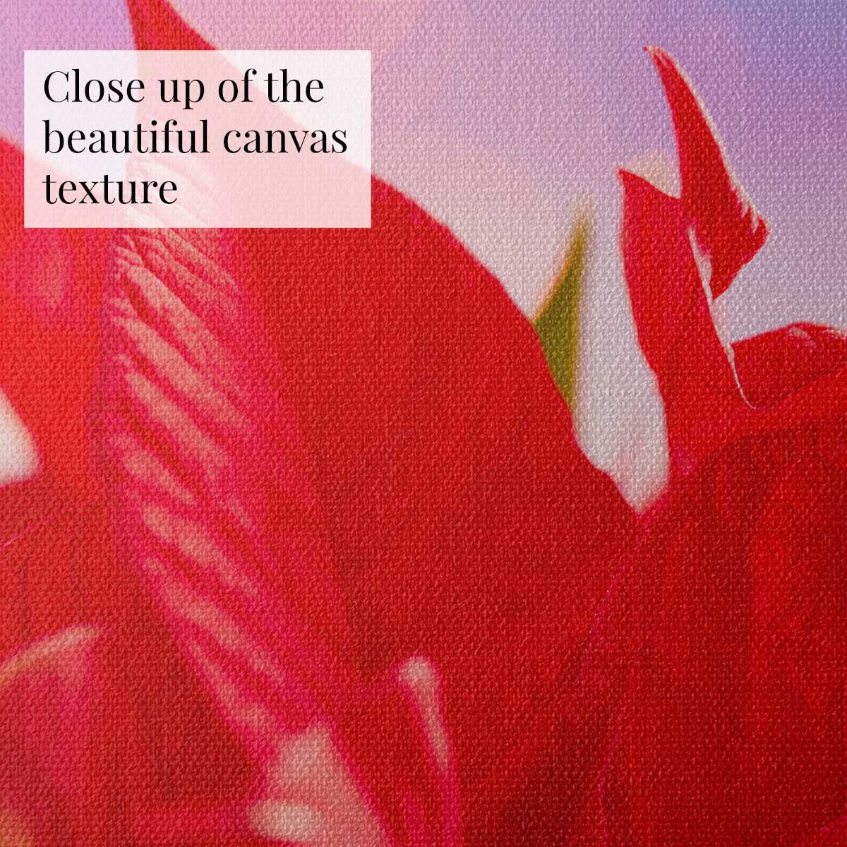 The Red Moment floral wall art print in red with canvas texture, poinsettia petals, and soft circular light effects