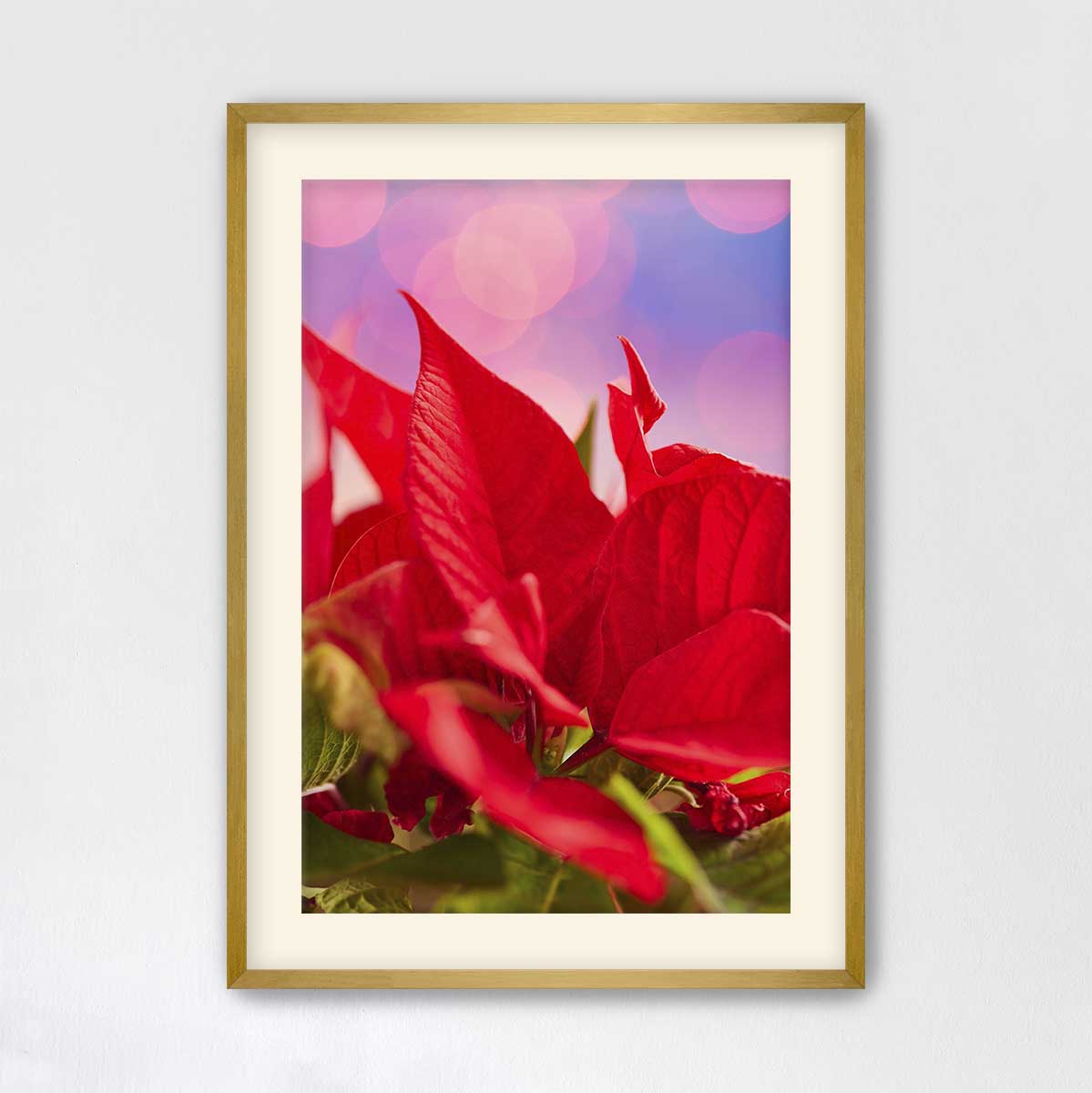 Red and radiant floral wall art print with vivid poinsettia petals in a gold frame for vertical display.
