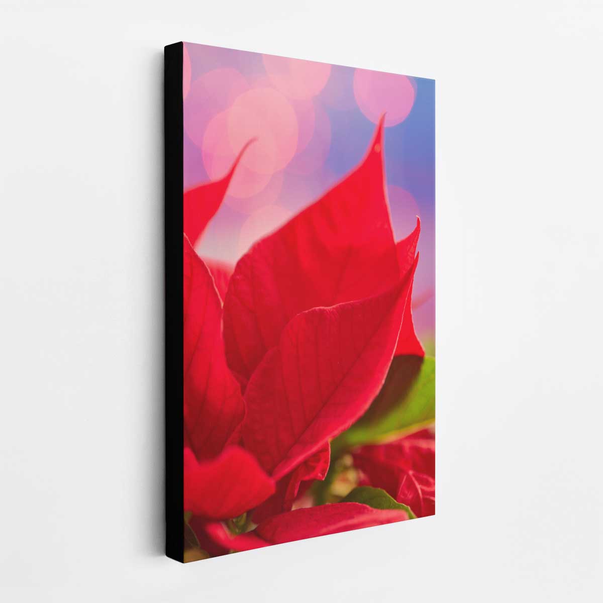 Poinsettia wall art canvas in red and pink with a close botanical view and vertical wall display