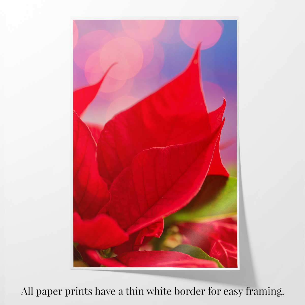 Red and radiant floral wall art canvas with poinsettia petals, blurred light circles, and a thin white border.