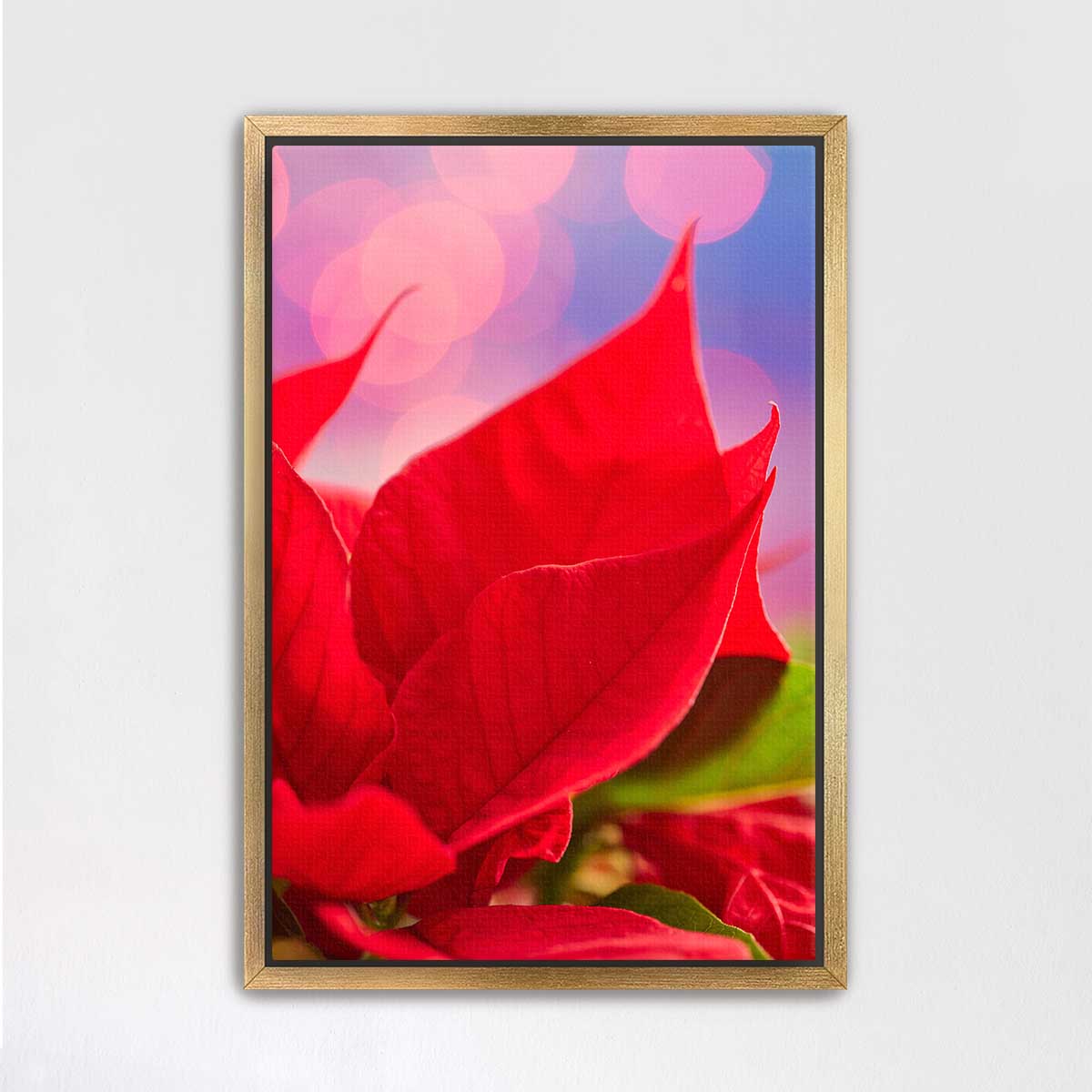 Pinkmas poinsettia wall art canvas in a gold frame with vertical display and vivid red petals.