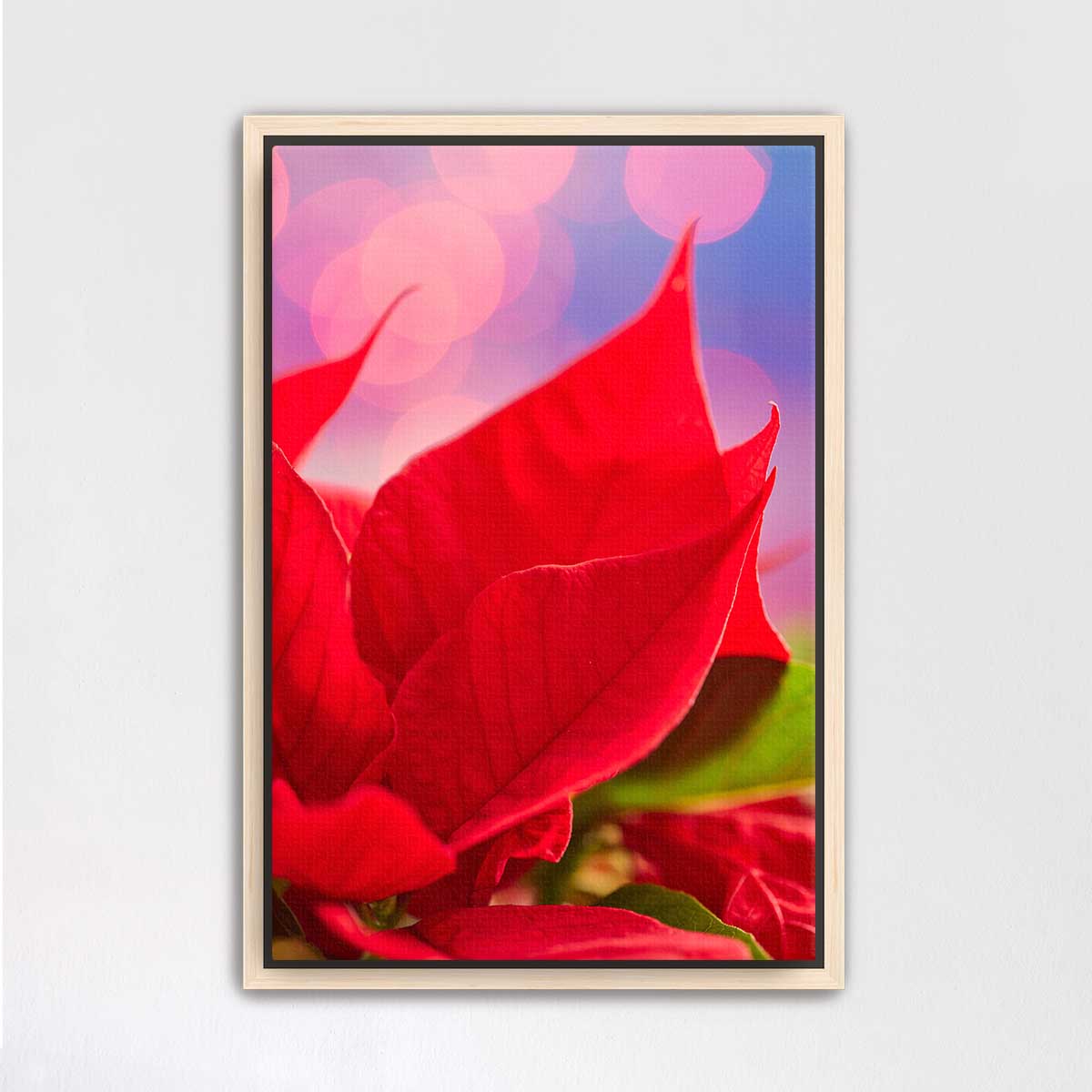 Pinkmas poinsettia wall art canvas in vivid red with layered petals, vertical display and maple frame.