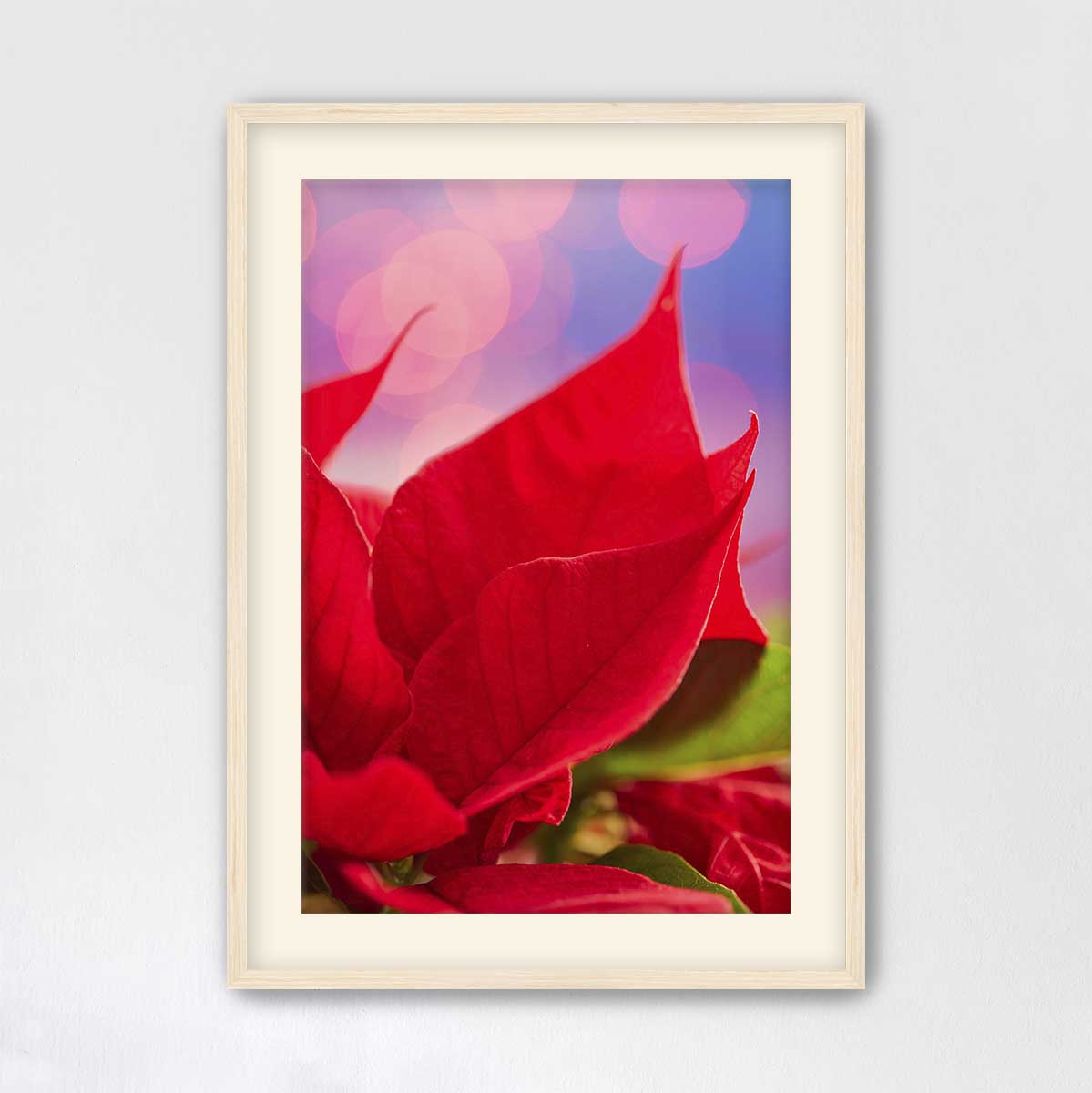 Red and radiant floral wall art featuring poinsettia petals in a vertical display with a light wood frame.