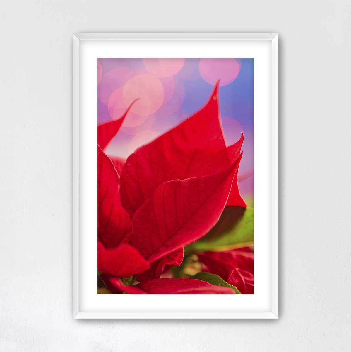 Red and radiant floral wall art with poinsettia petals, blurred light circles, and vertical display