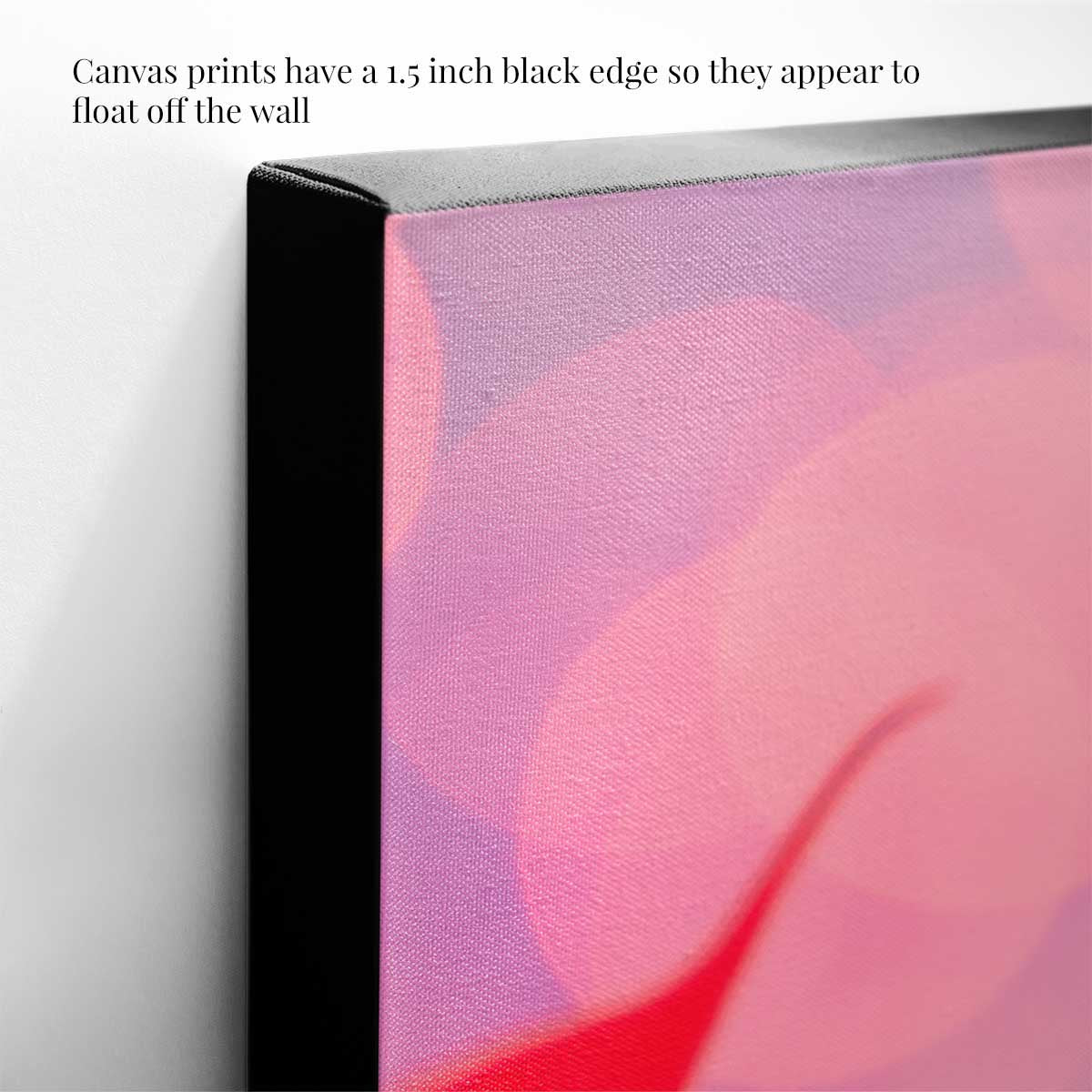 Poinsettia wall art canvas in pink and red with a 1.5 inch black edge for vertical wall display.
