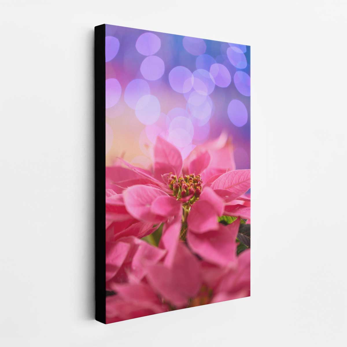 Pinkmas poinsettia wall art print with vivid pink petals, vertical display, and a soft purple bokeh background.