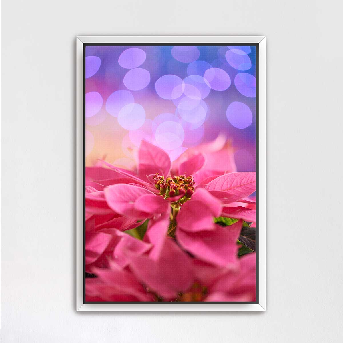 Poinsettia Christmas wall art print in pink with a white frame and soft blurred lights in the background.