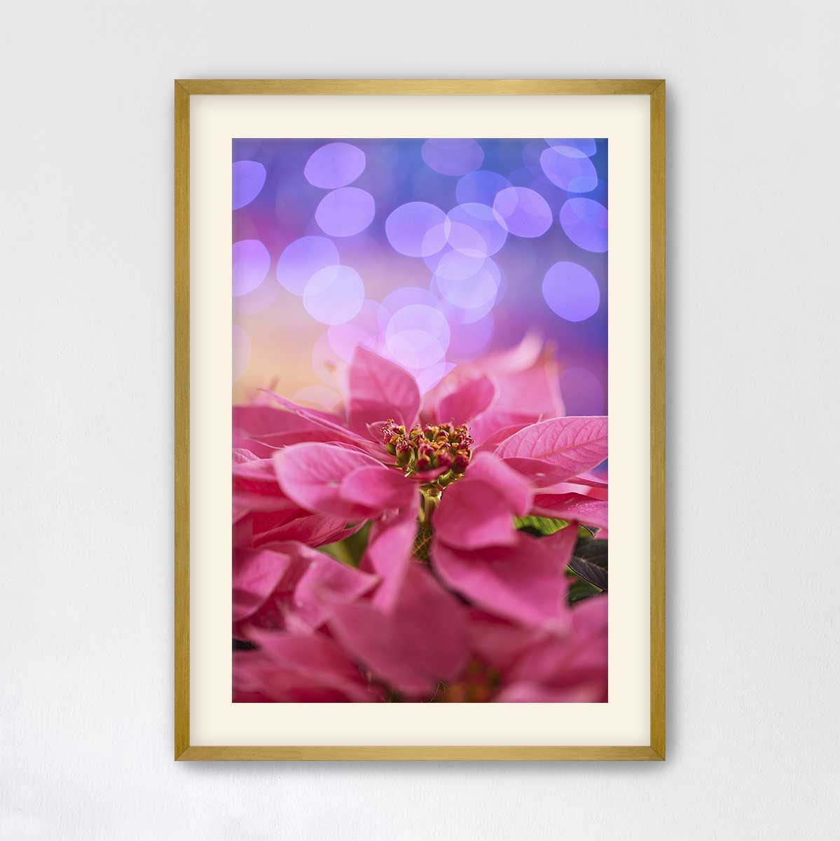 Pink Holiday Crush poinsettia Christmas wall art print with a gold frame and vertical floral design