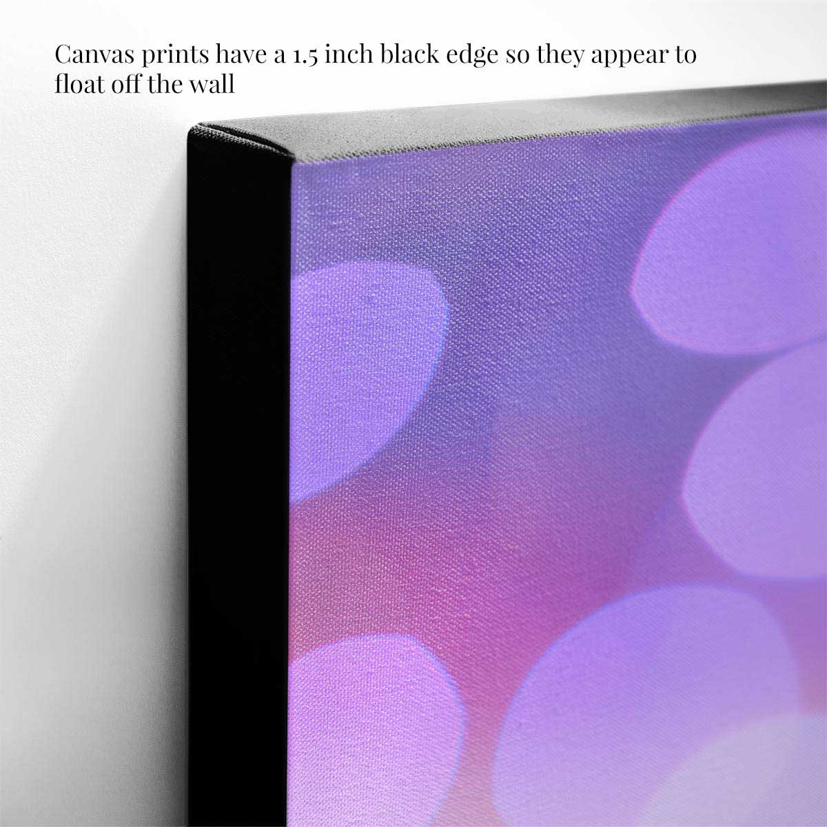 Poinsettia Christmas wall art print with a purple and pink abstract canvas surface and 1.5 inch black edge.