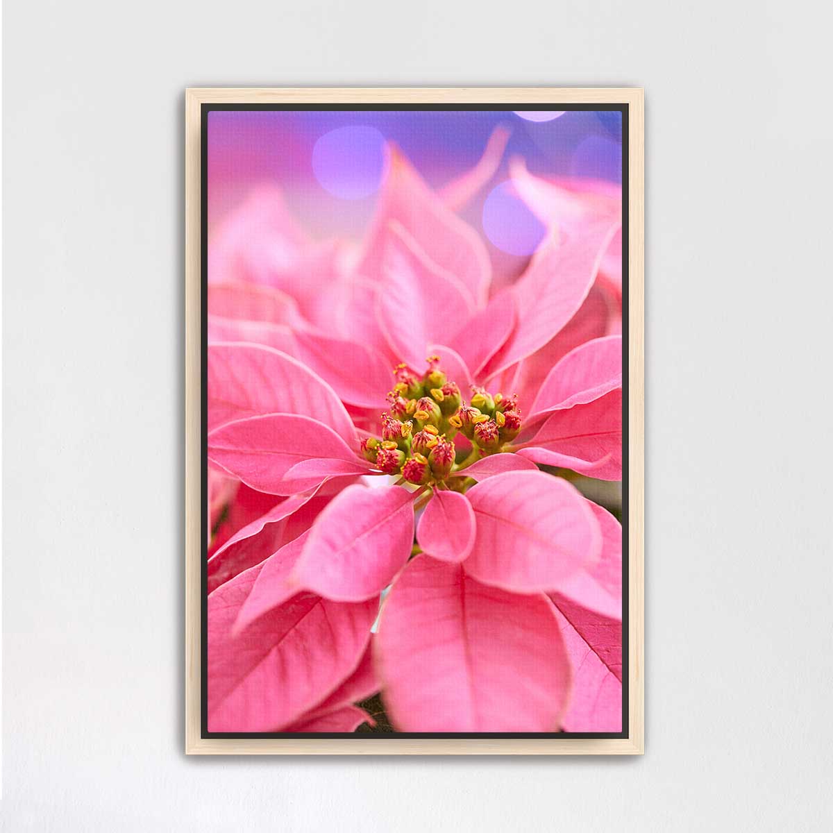 Pink poinsettia Christmas wall art canvas in a vertical format with a light wood frame and floral detail.