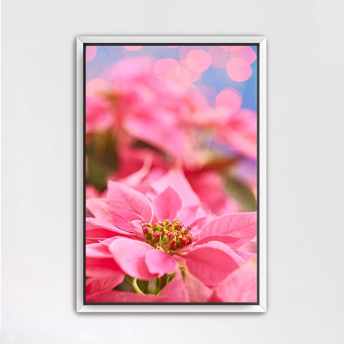 Pink poinsettia wall art print with a vertical 2:3 design and fine art paper in a white frame.