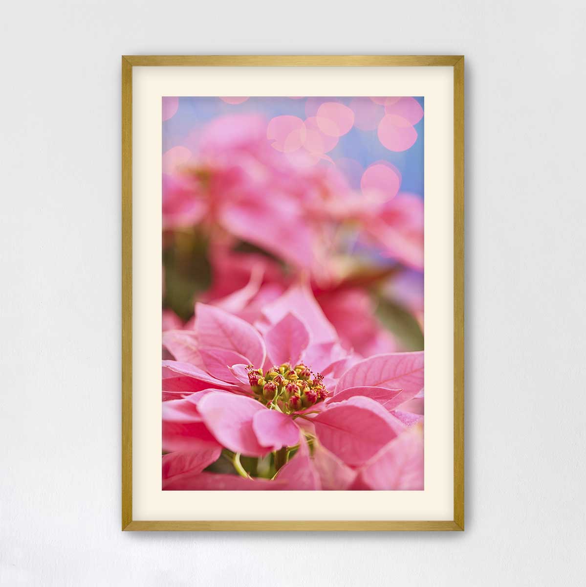 Pink Winter poinsettia Christmas wall art print in a gold frame, featuring a vertical floral composition.