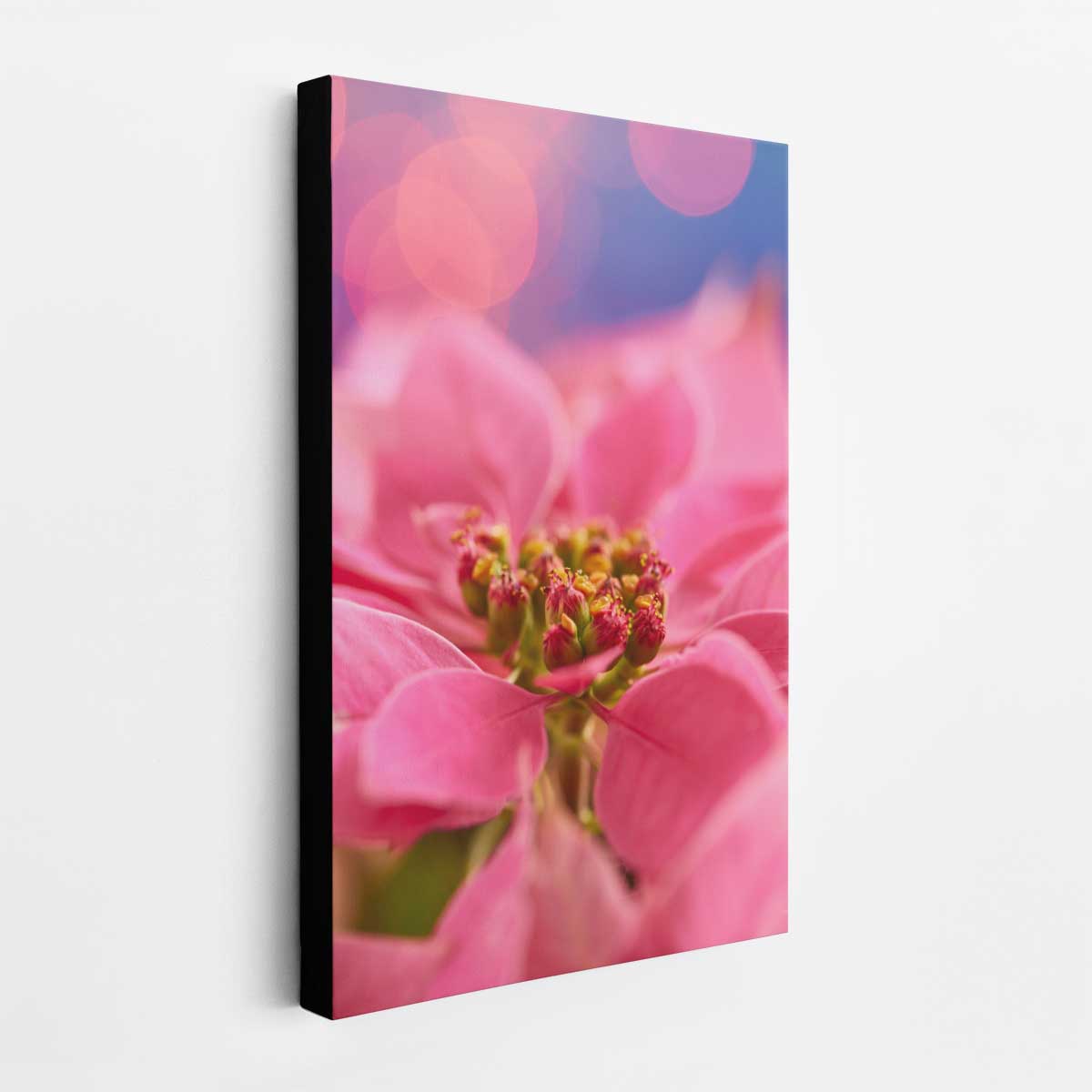 Very Pink Christmas poinsettia wall art canvas shows a close-up floral composition with vivid pink petals.