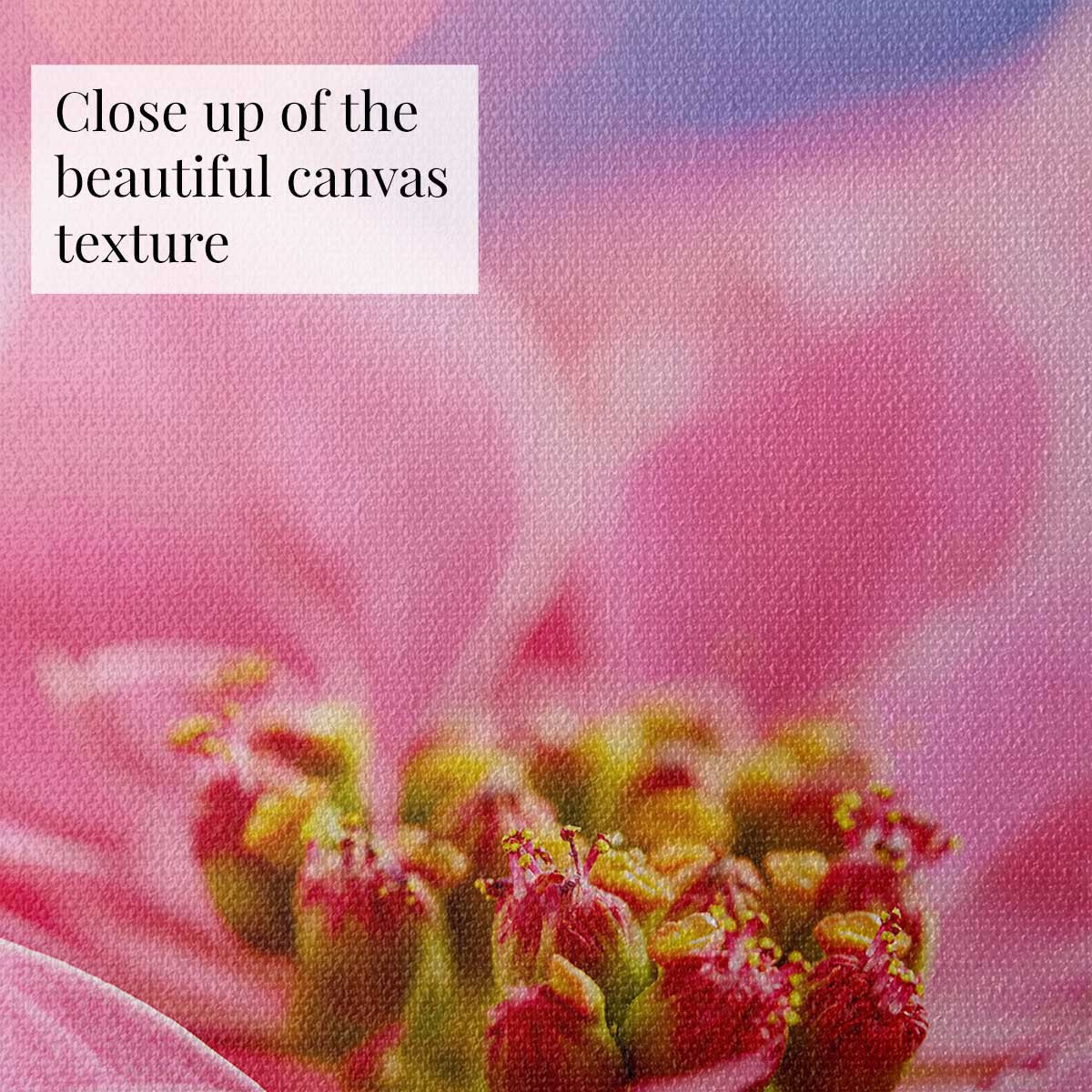 Very pink Christmas poinsettia wall art with close up canvas texture and detailed petals for seasonal decor.