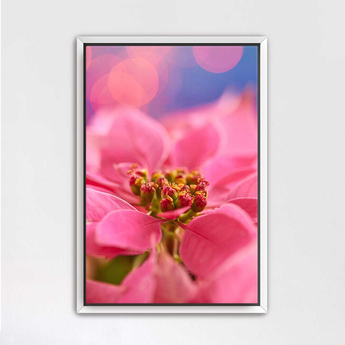 Very pink Christmas poinsettia wall art canvas with a close-up floral composition for seasonal Christmas decor