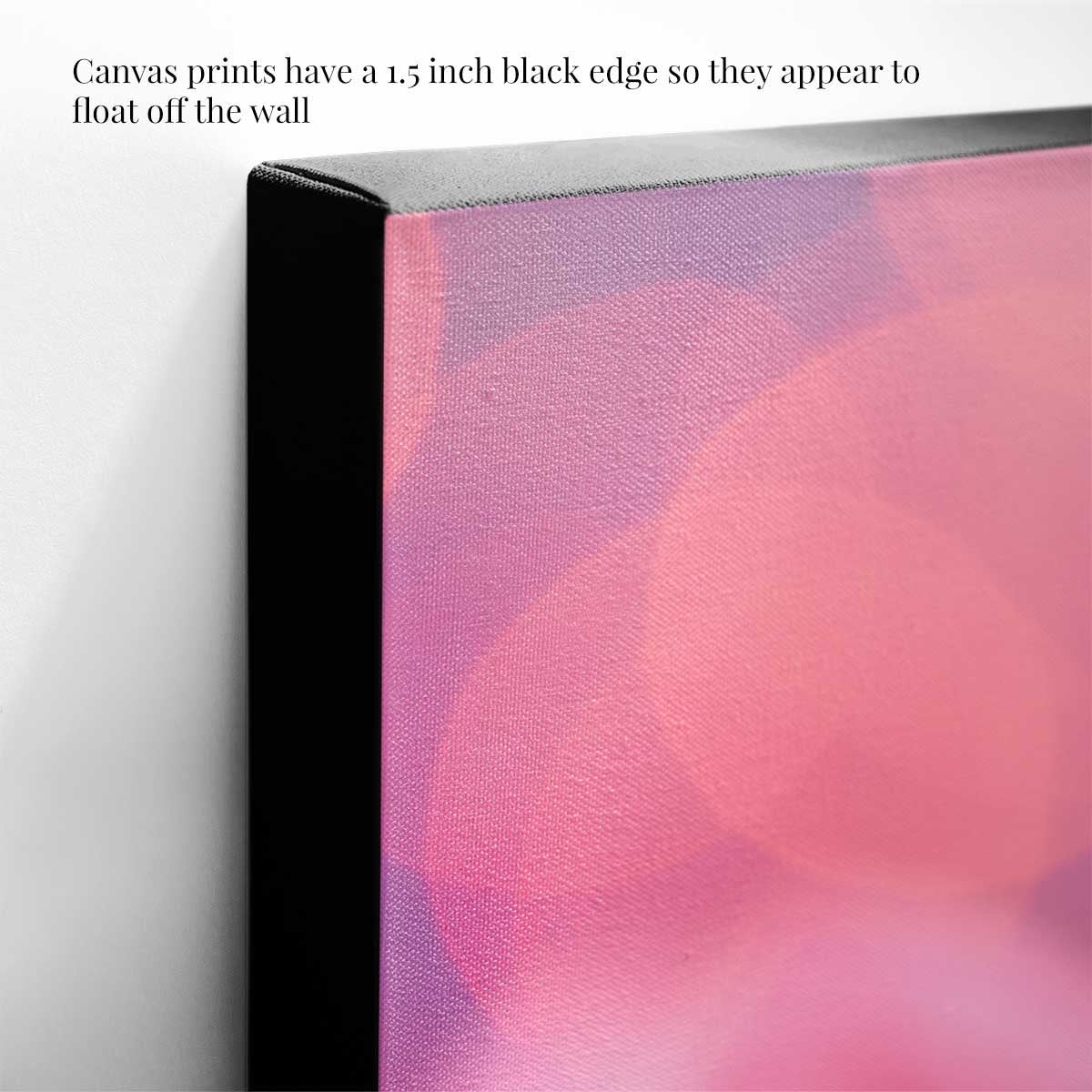 A Very Pink Christmas floral wall art presents a close-up poinsettia composition with visible black canvas edges.