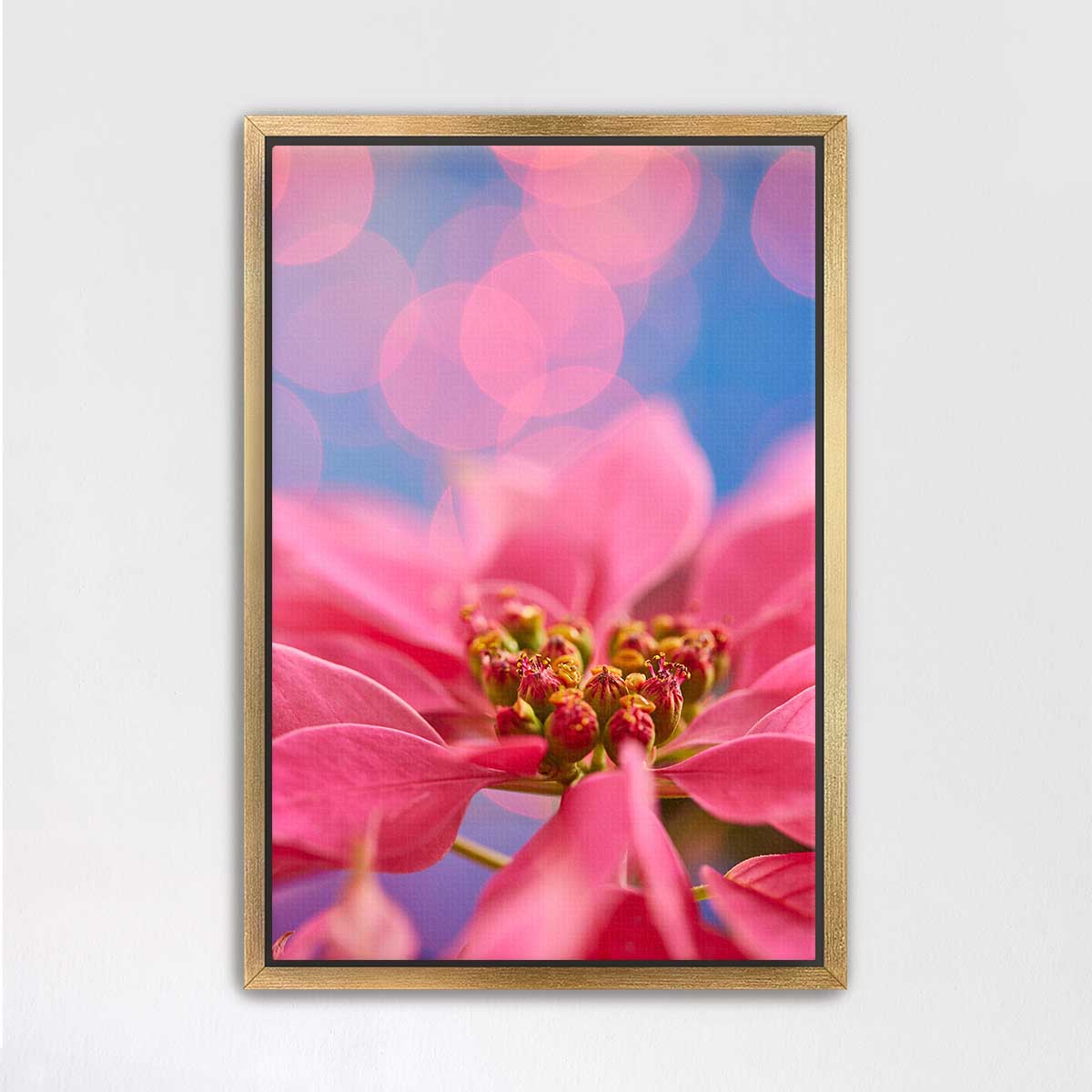 Pink Christmas poinsettia wall art print in a gold frame with a close floral view and blurred lights