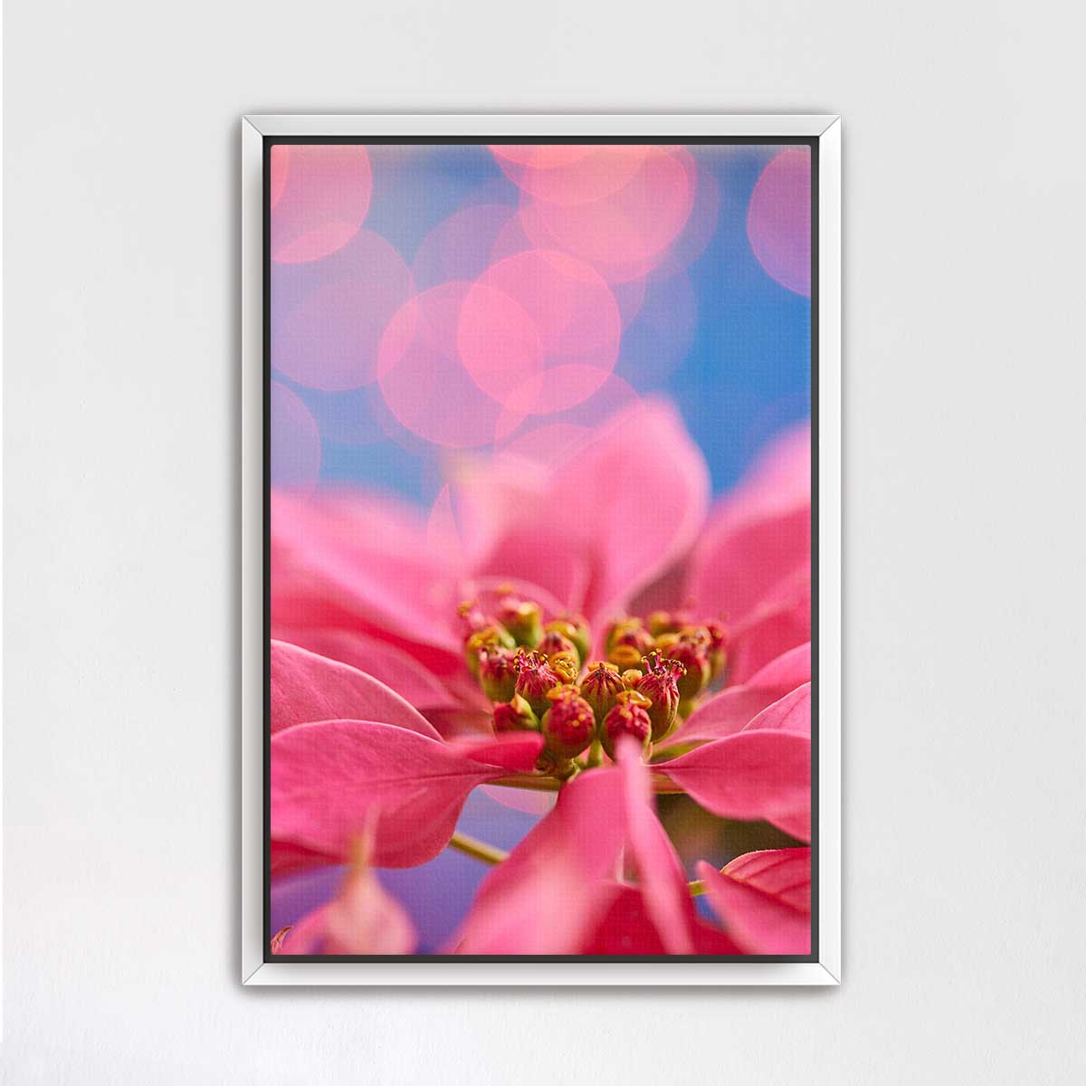 Very pink Christmas poinsettia wall art print with a close up flower detail, blurred Christmas lights, and a visible frame.