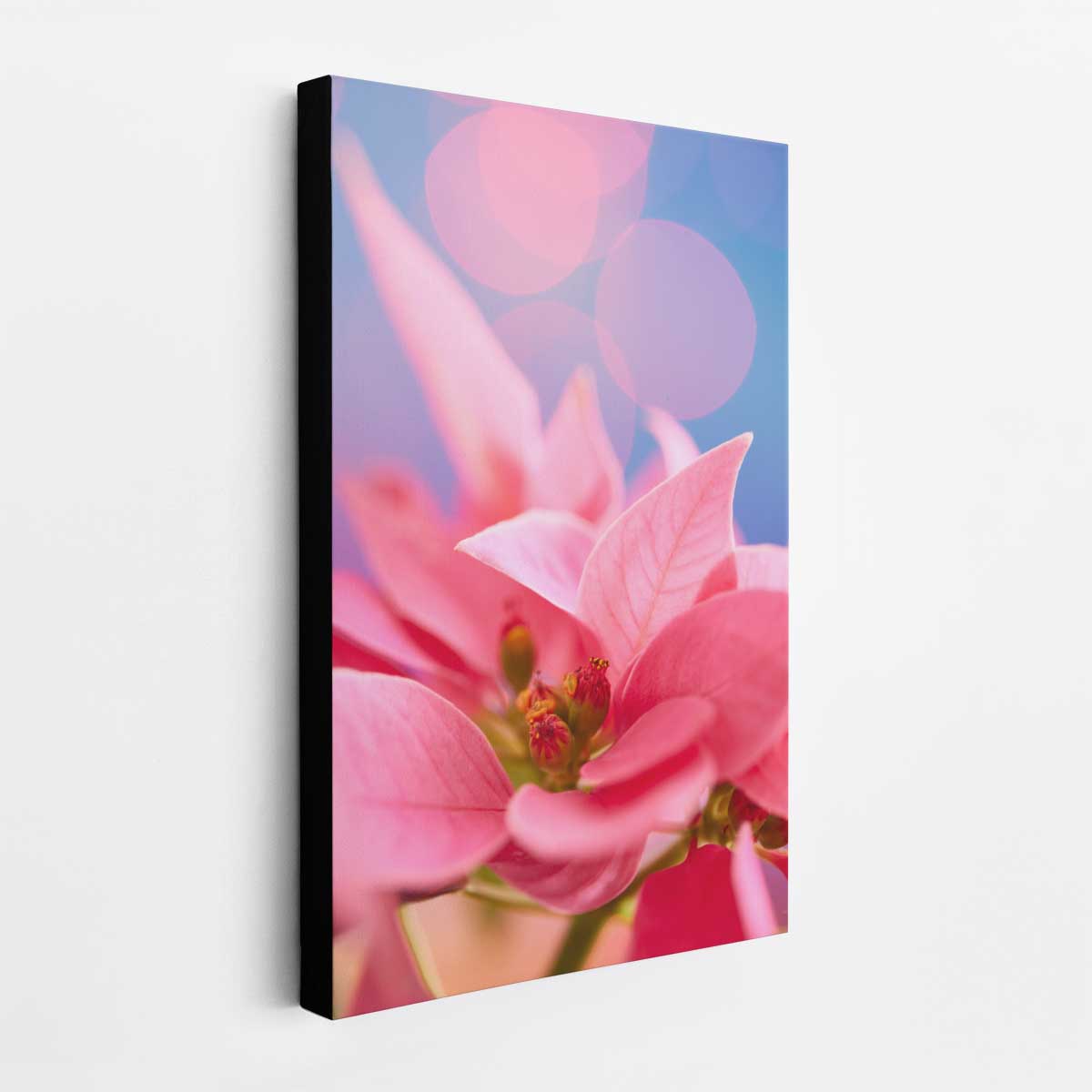 A Pink Night Out | Poinsettia Christmas Wall Art Canvas