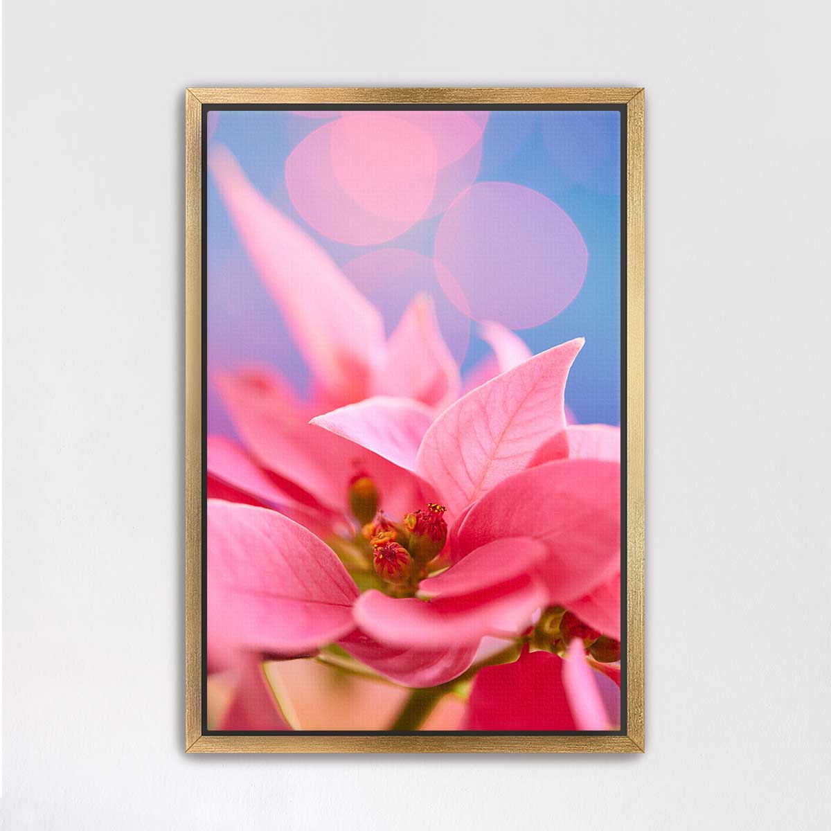 A Pink Night Out | Poinsettia Christmas Wall Art Canvas