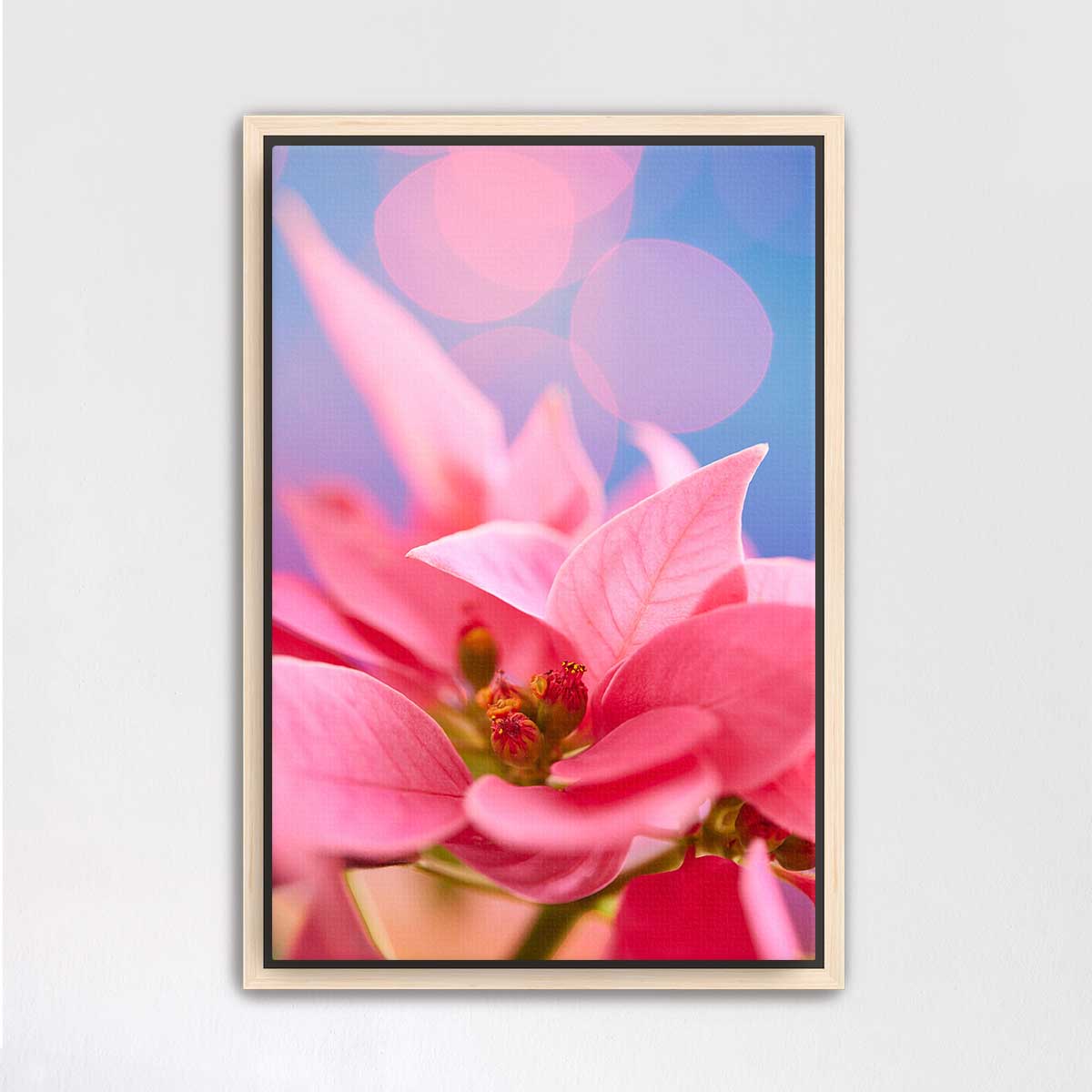 A Pink Night Out | Poinsettia Christmas Wall Art Canvas