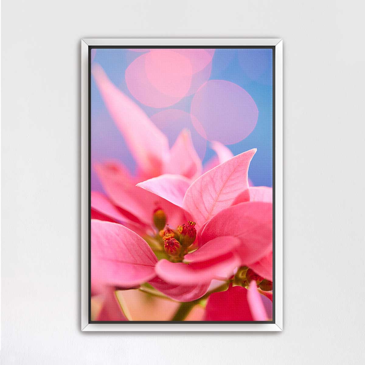 A Pink Night Out | Poinsettia Christmas Wall Art Canvas