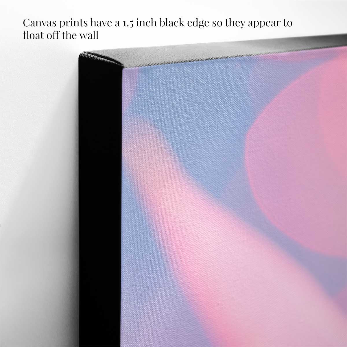 A Pink Night Out | Poinsettia Christmas Wall Art Canvas