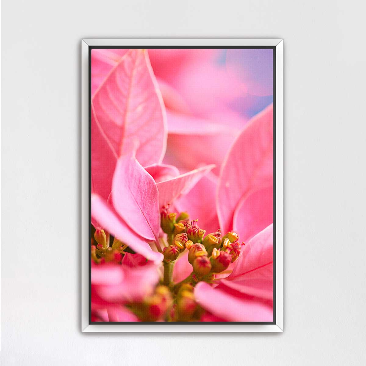 Poinsettia Christmas wall art canvas in vivid pink with a vertical format and detailed floral close-up in a white frame.