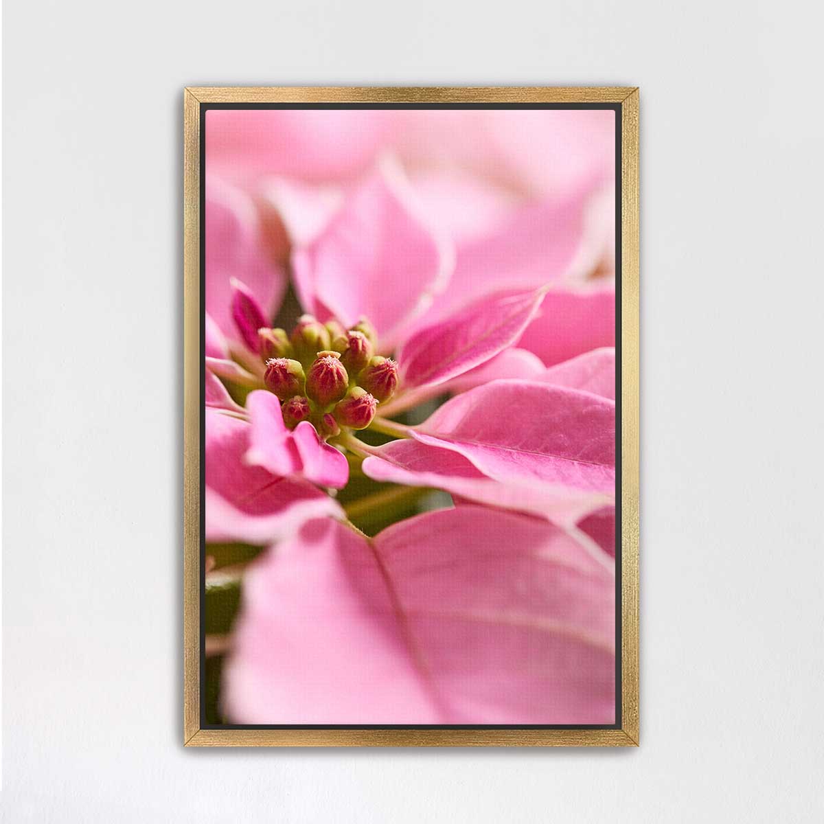 Christmas poinsettia floral wall art canvas with a Gold frame, close-up bracts, and a 2:3 vertical format.