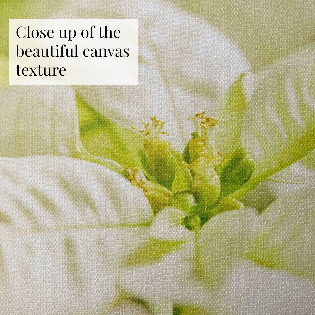 White Christmas poinsettia wall art with a close-up botanical photograph and visible woven texture.