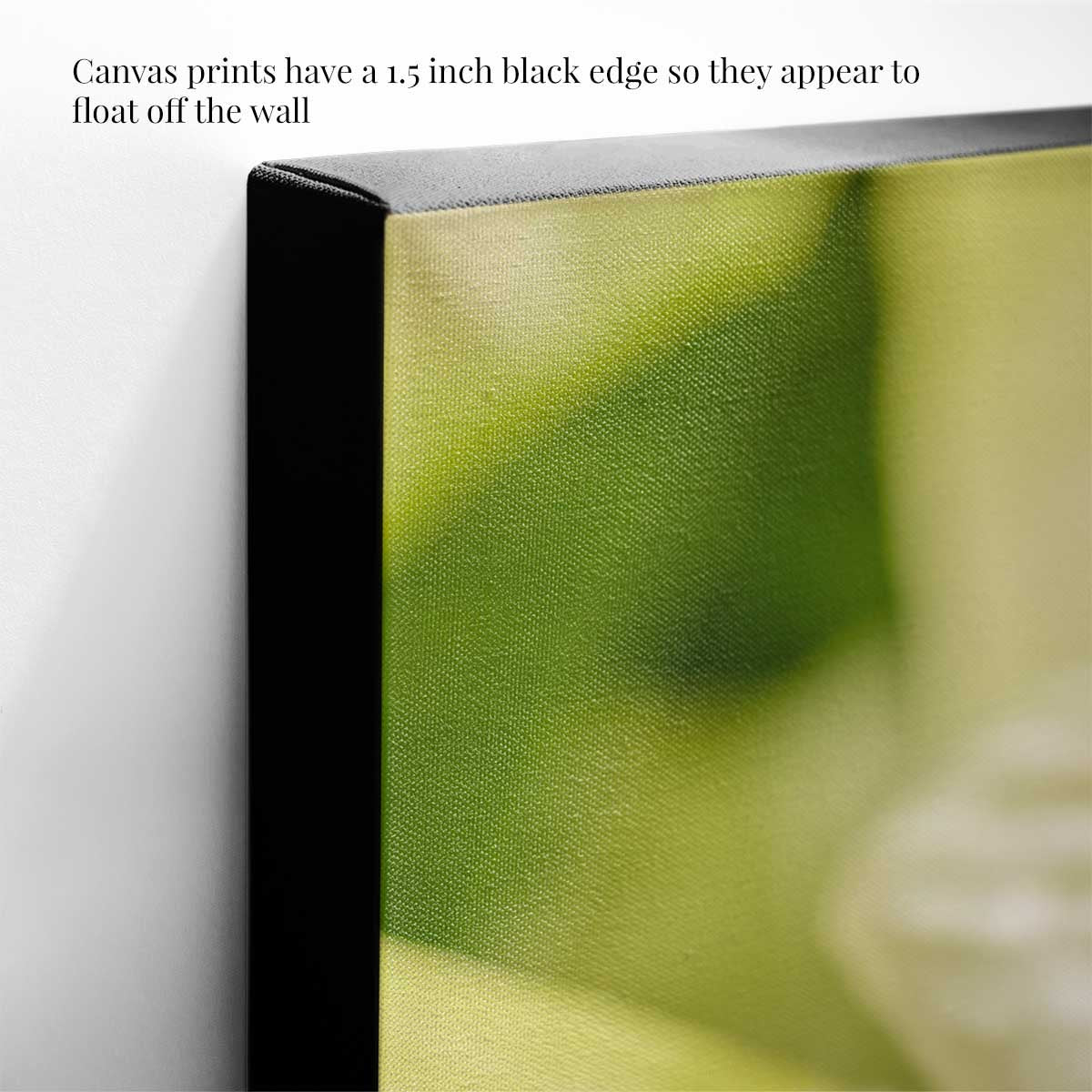 White Christmas poinsettia wall art canvas with a botanical photograph and 1.5 inch black edge