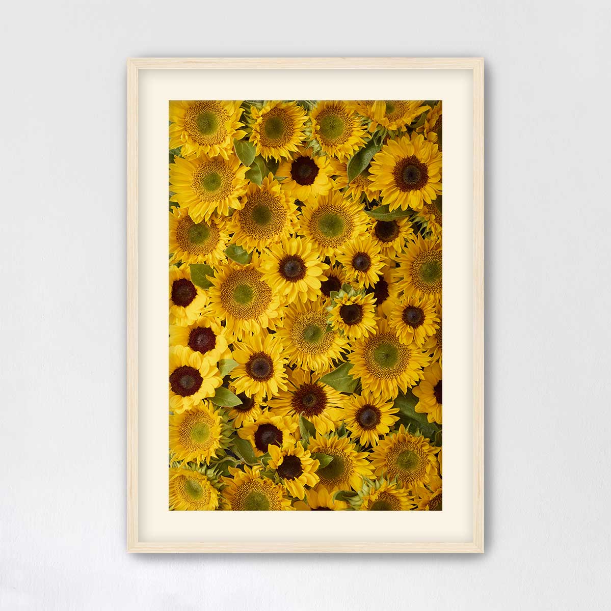 The image is a framed photograph of a large number of vibrant yellow sunflowers.